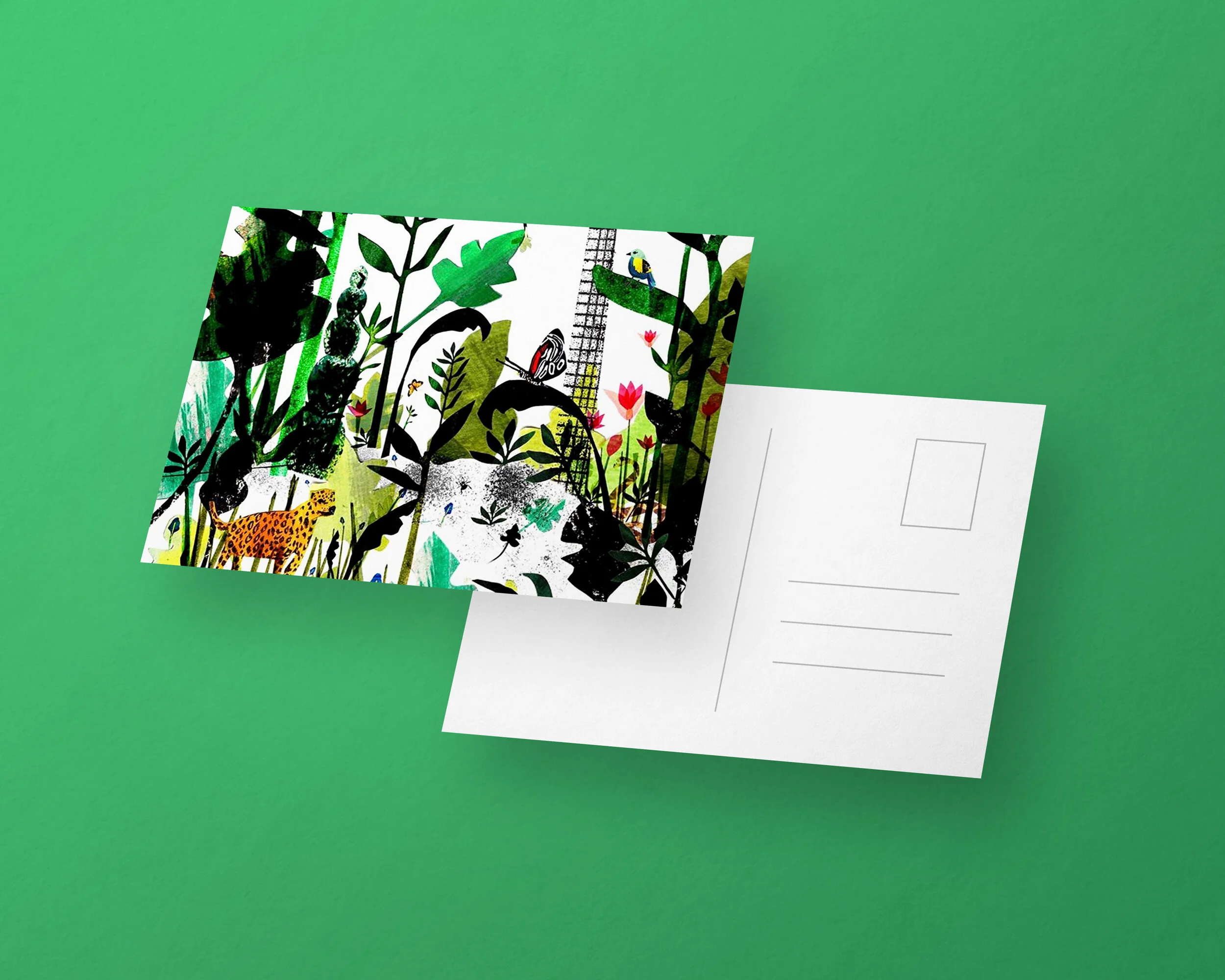 Jungle-Postcard.jpg