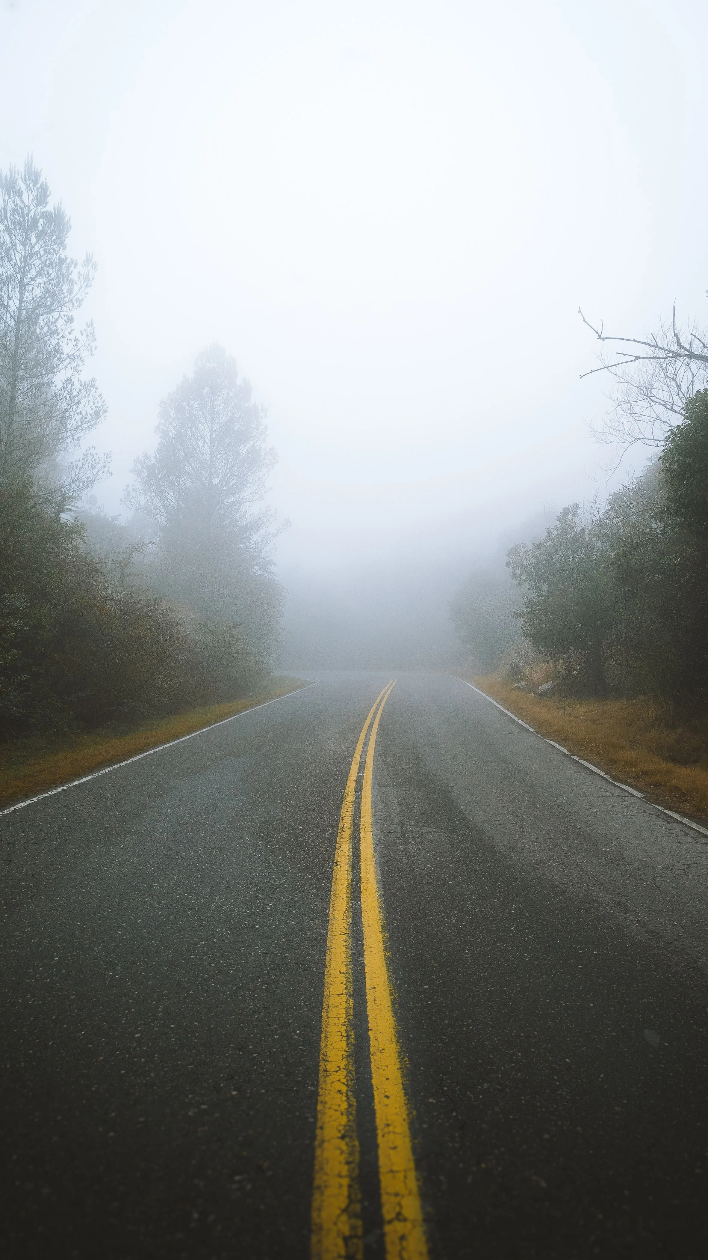 Finding Clarity When the Road Gets Foggy