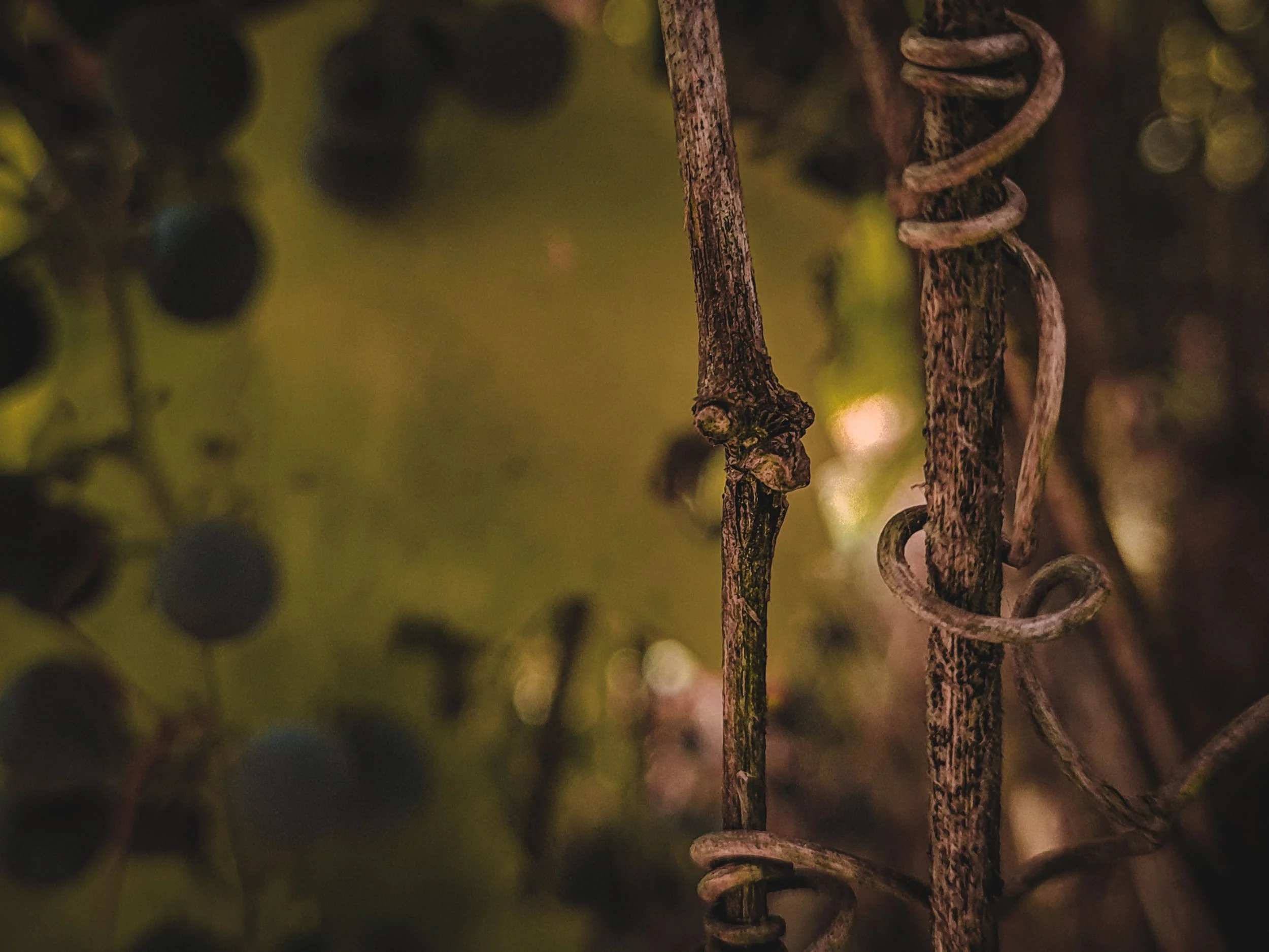 Finding Life Through Surrender