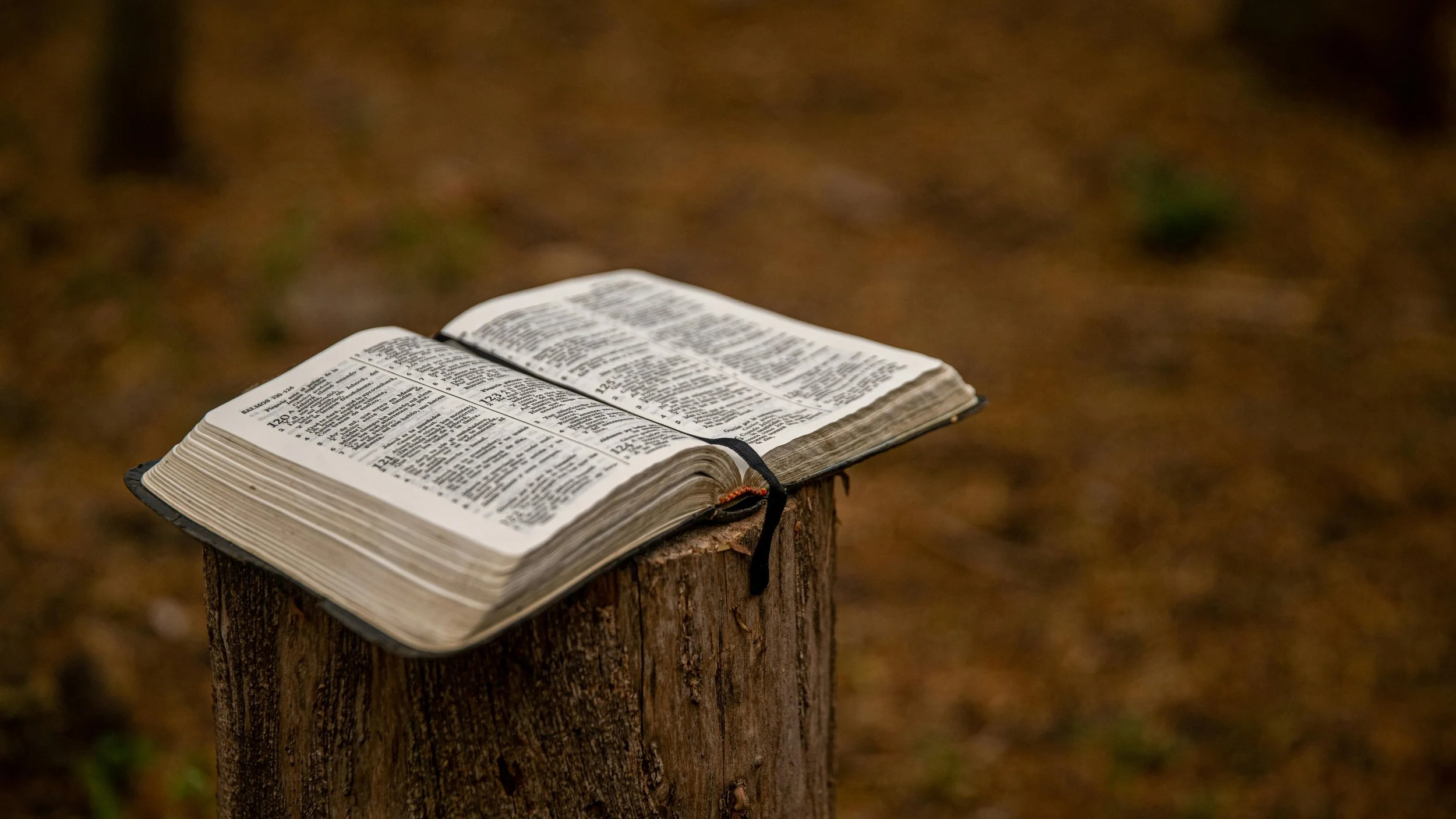 The Power of God’s Word