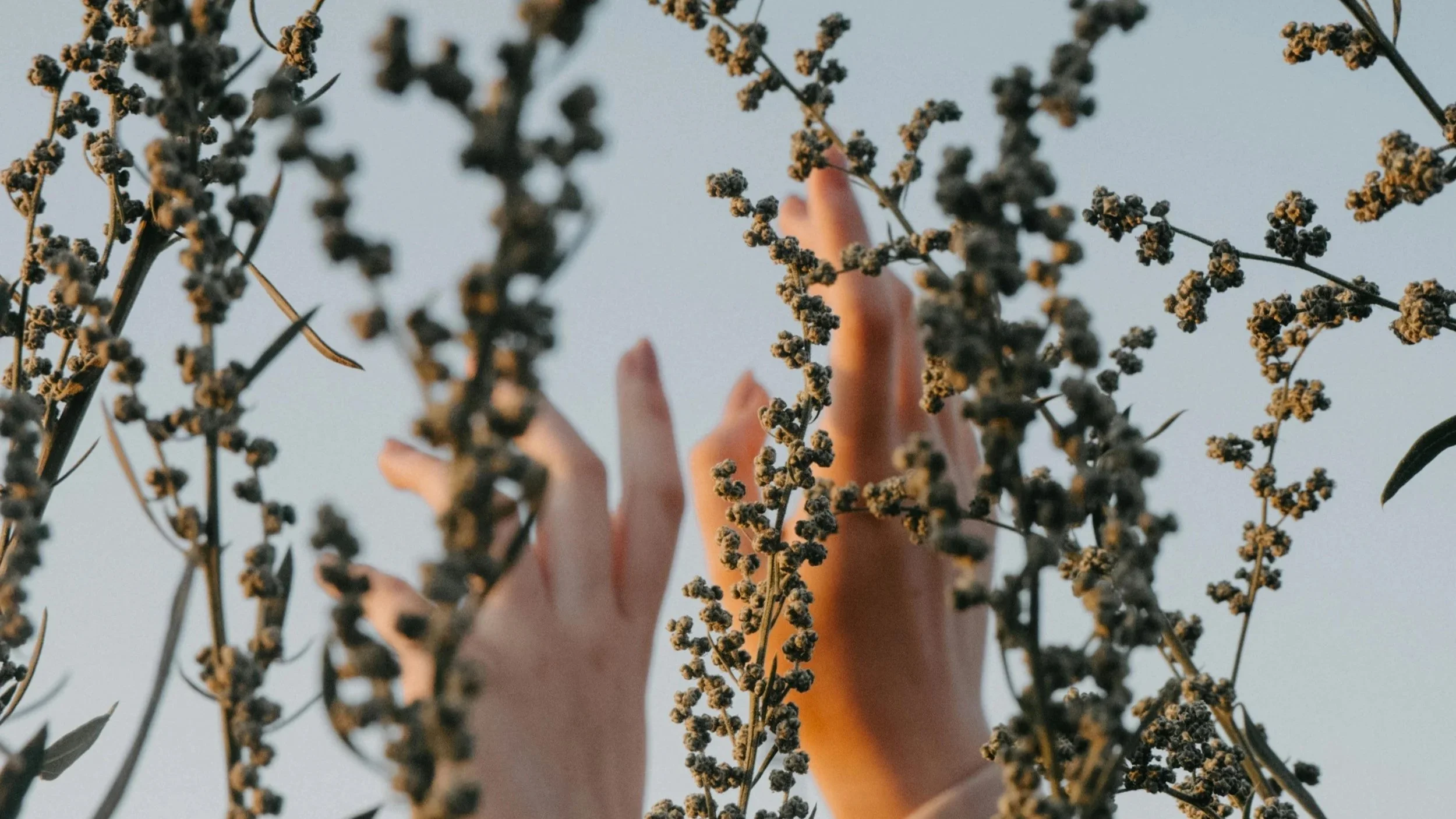 Faith Over Fear: Standing Like Joshua and Caleb