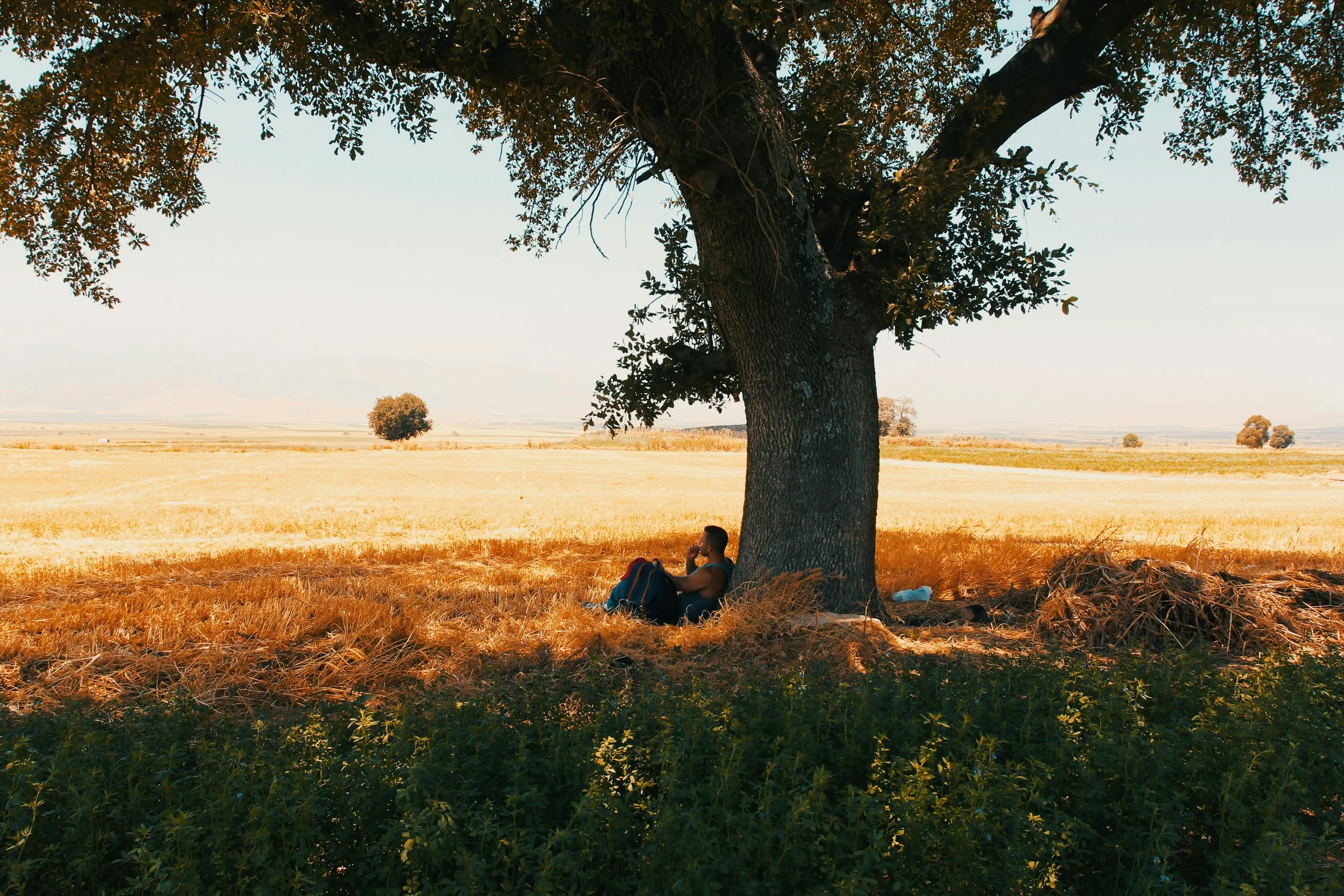 What the Lord Requires