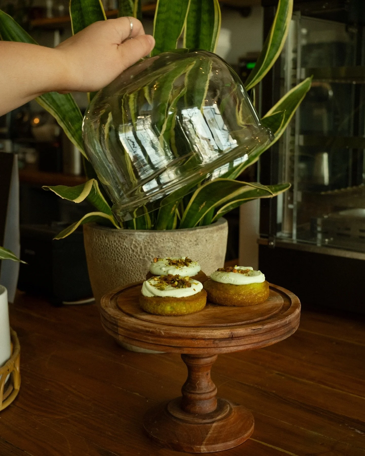 Happy St. Patrick&rsquo;s Day!

From our Pistachio Doughnuts, Matcha Cookies, Matcha Lattes, a plant from @maesvintageplants &mdash;we&rsquo;ve got something ☘️ green ☘️ for you to celebrate with today!