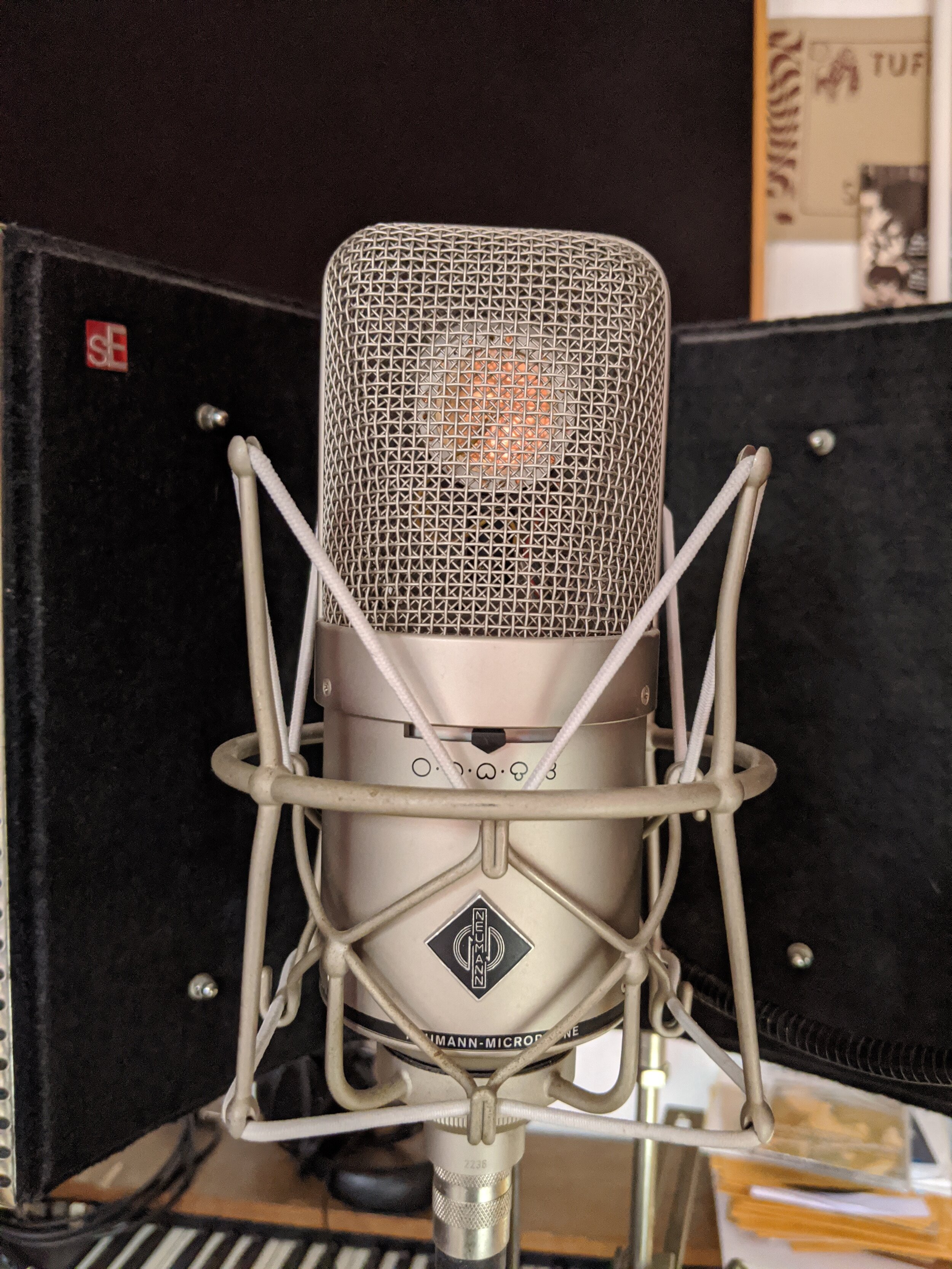 The vocal tracking mic