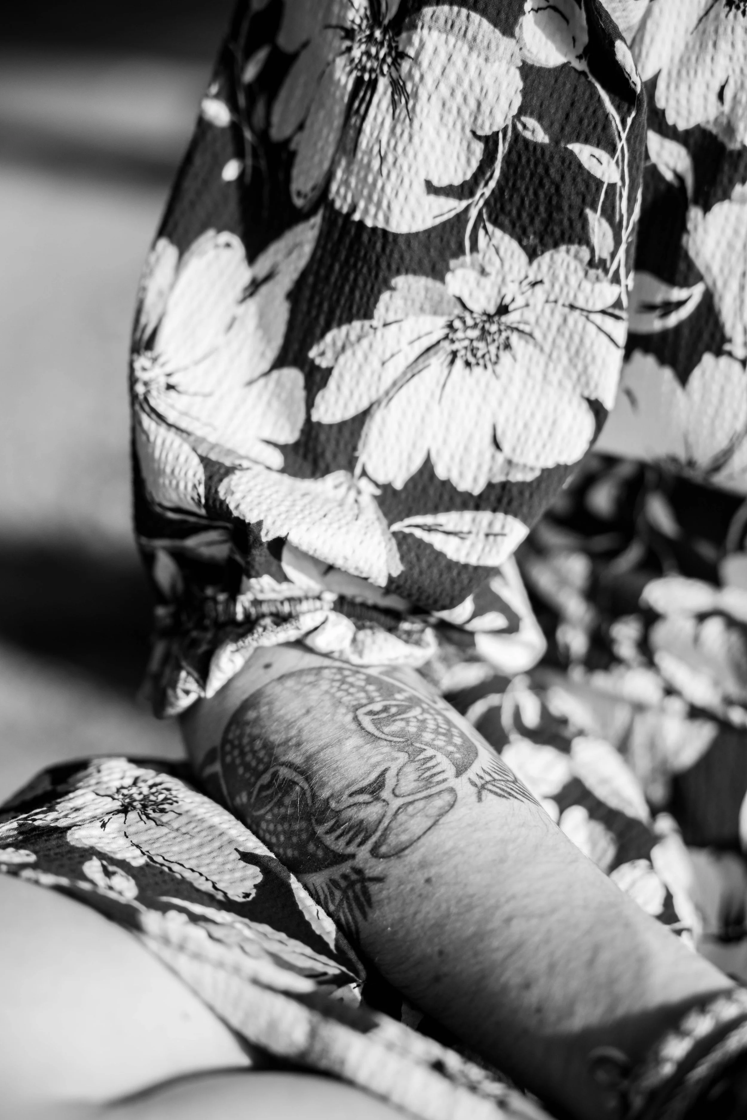 155A8776-2.jpg