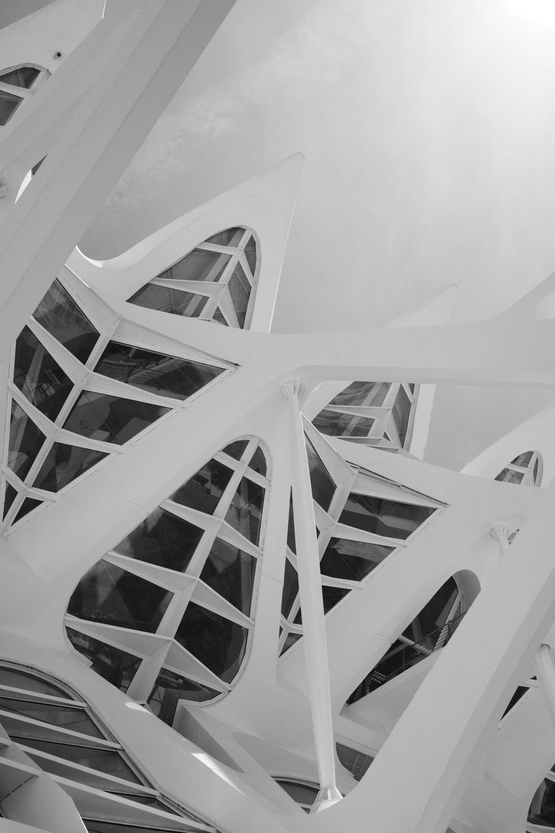 DSCF0869S.jpg