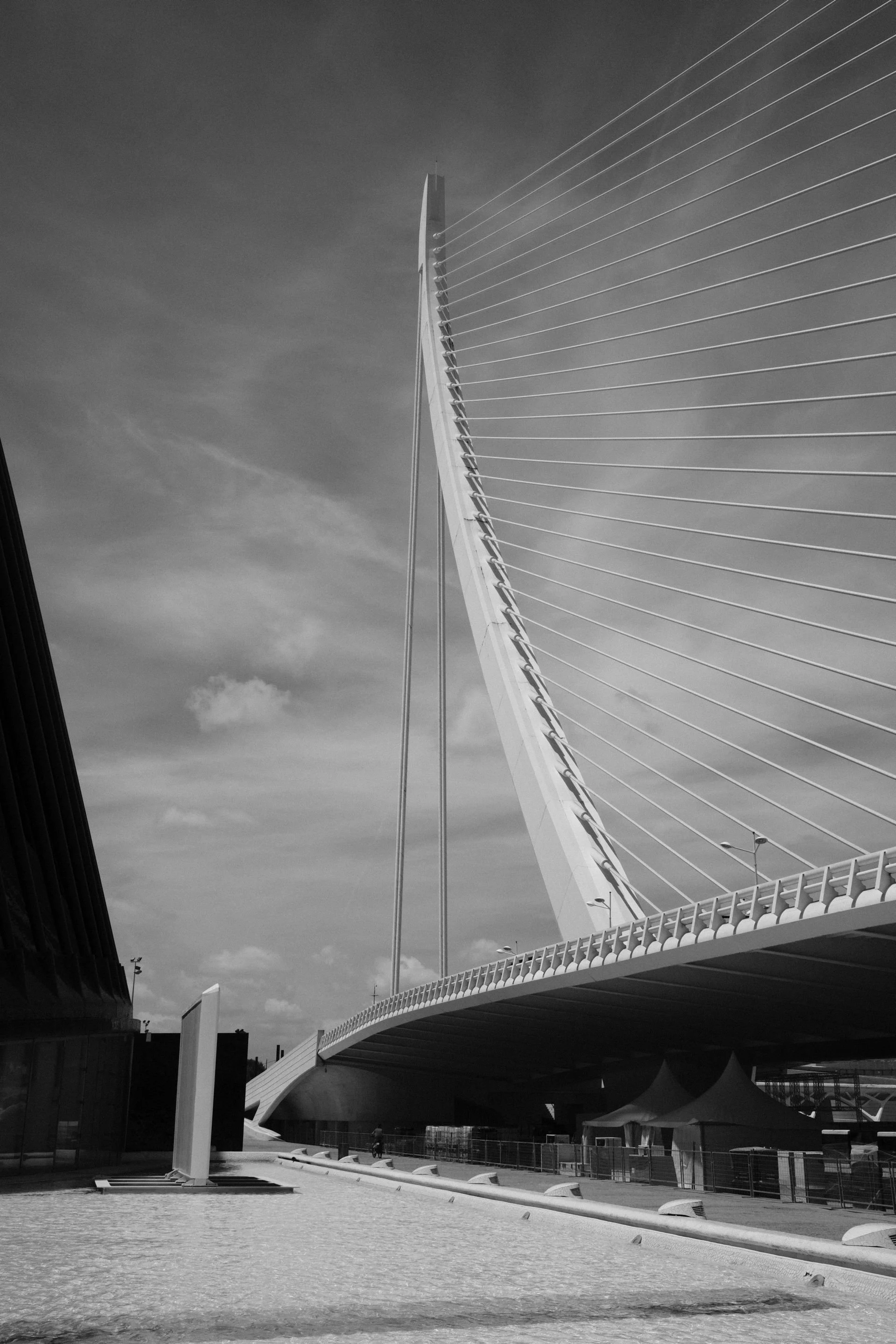 DSCF0880S.jpg