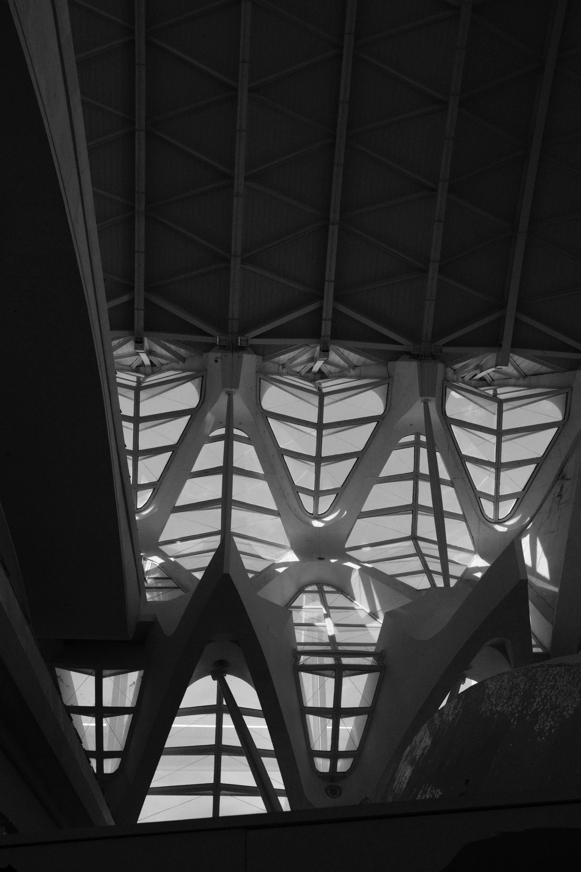 DSCF0876S.jpg