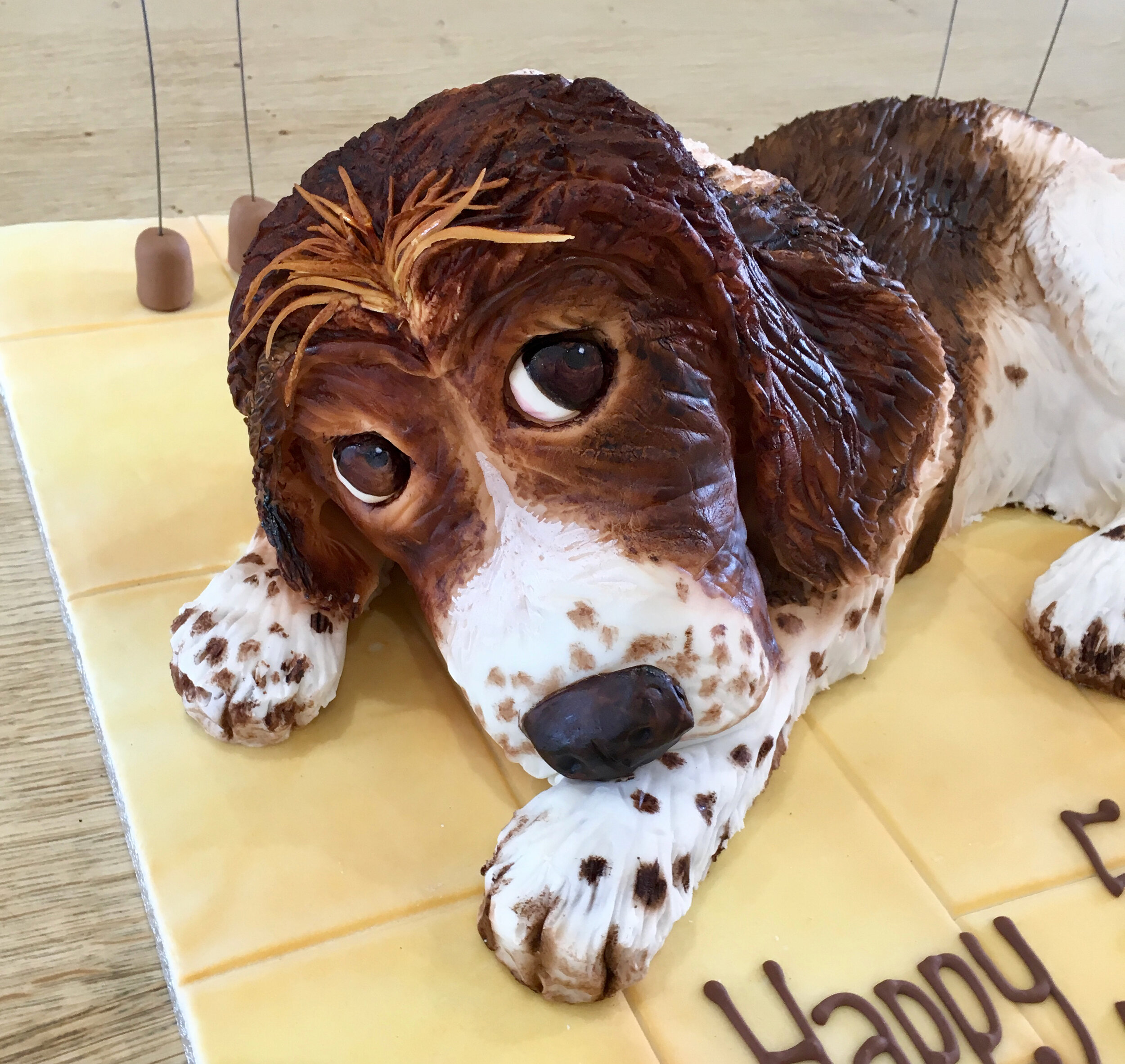 springer spaniel cake