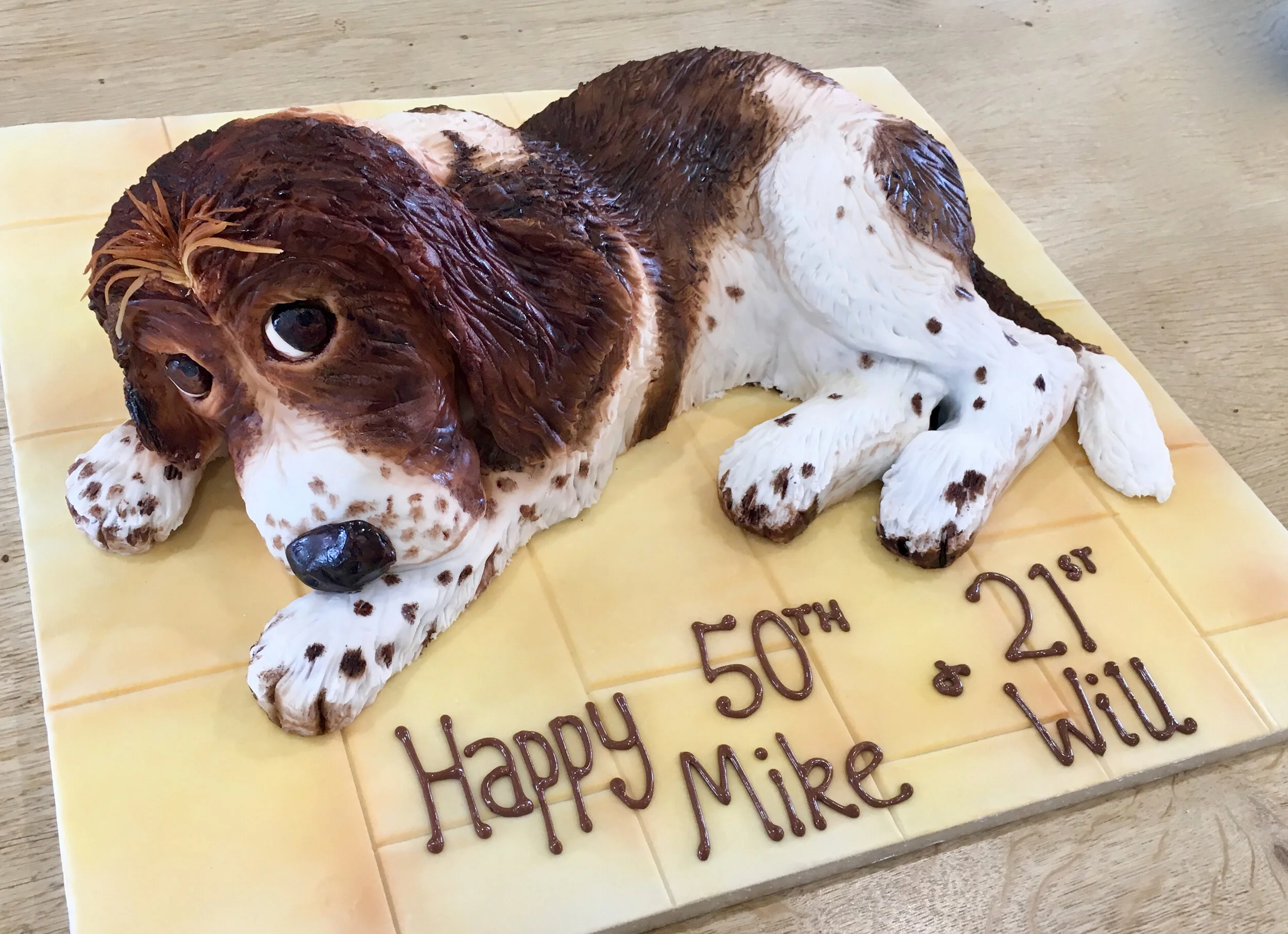 springer spaniel cake
