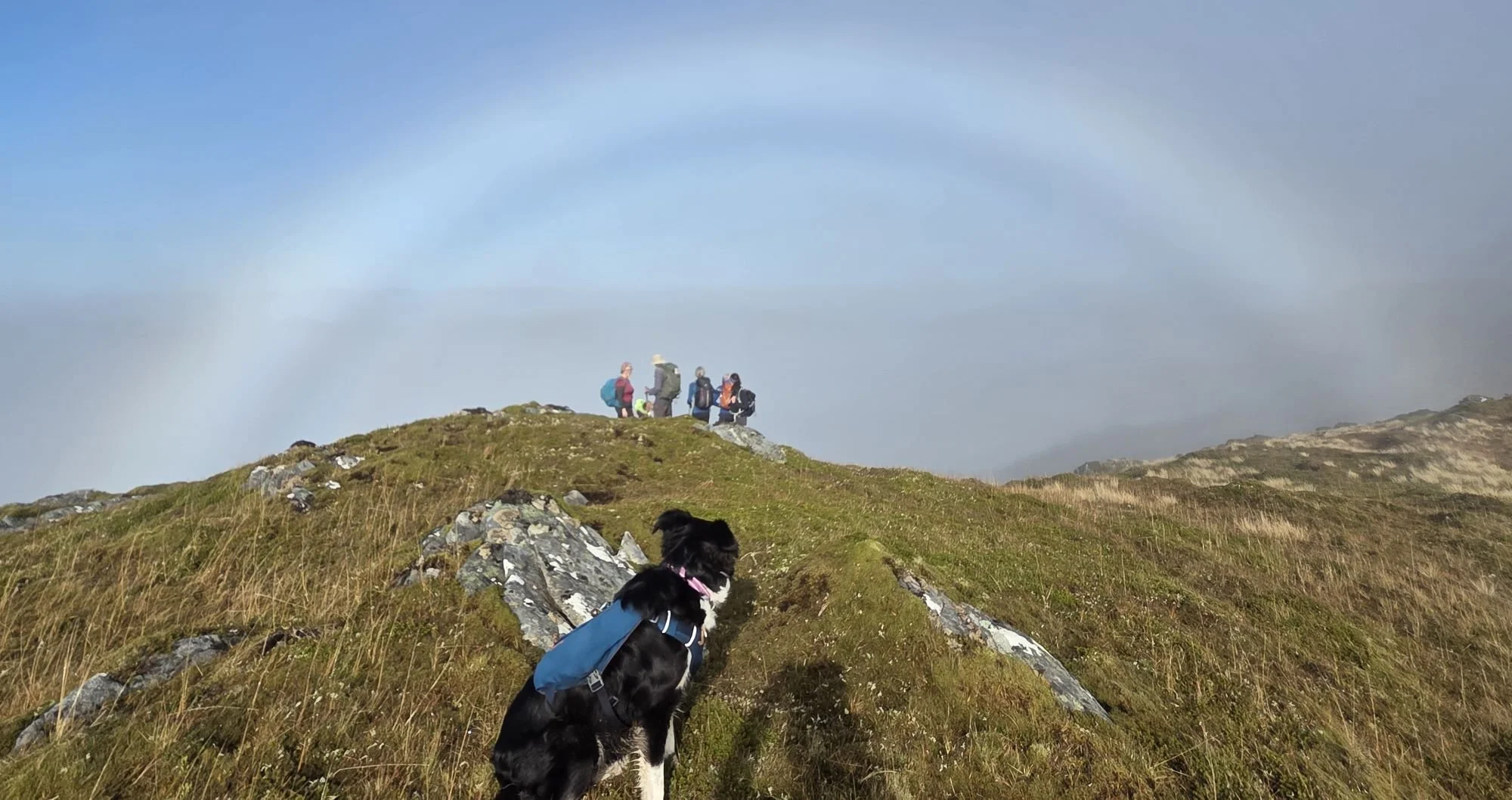 Sgorr Ruadh, Sguman Coinntich & Glen Affric, 12 Oct 2025