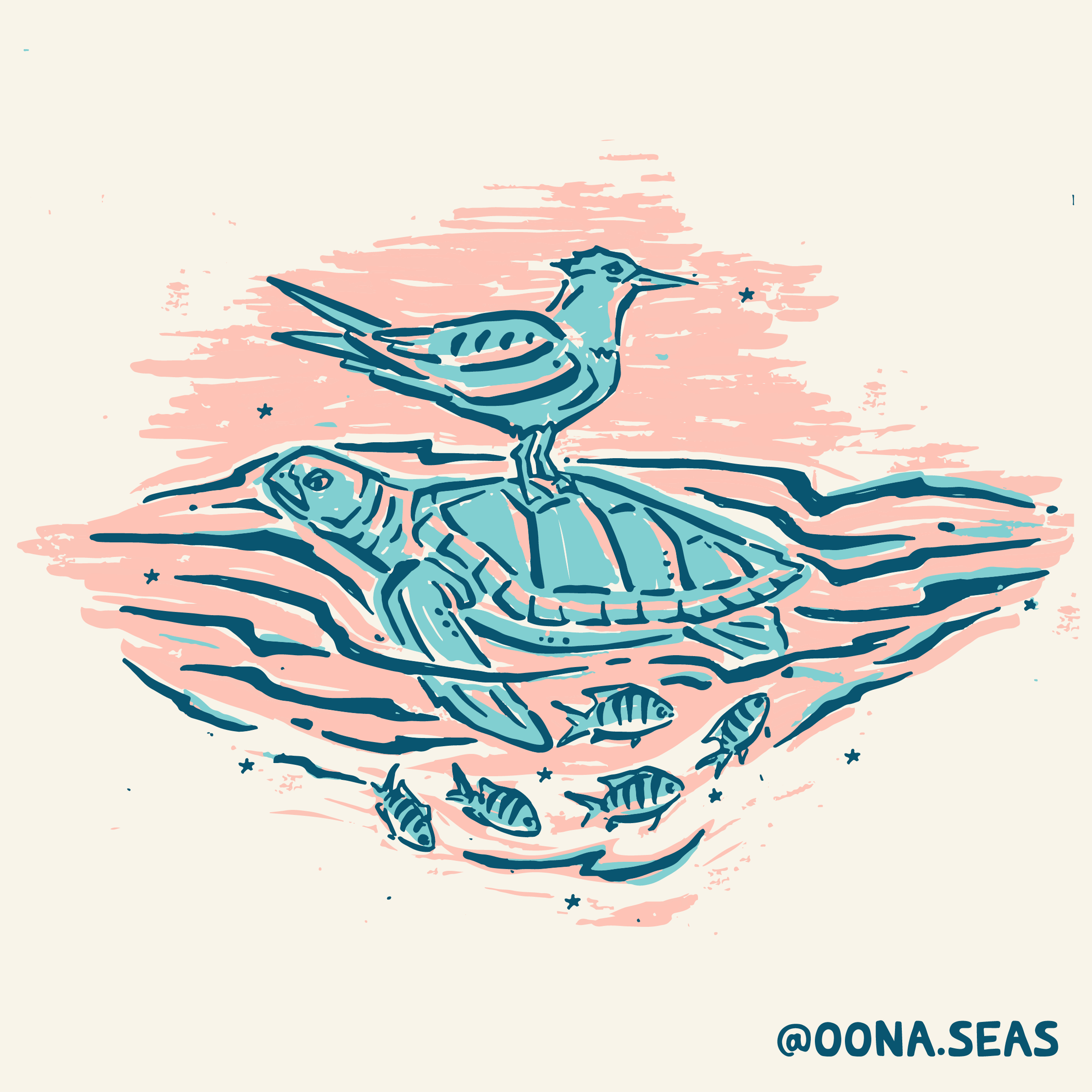 turtle swimming-01.png