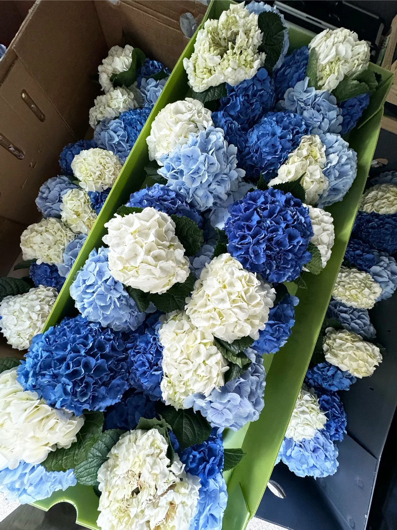 Ein Abend auf der Panta Rhei