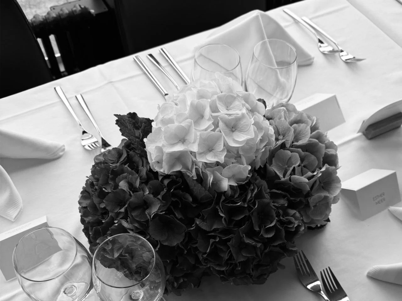 Ein Abend auf der Panta Rhei