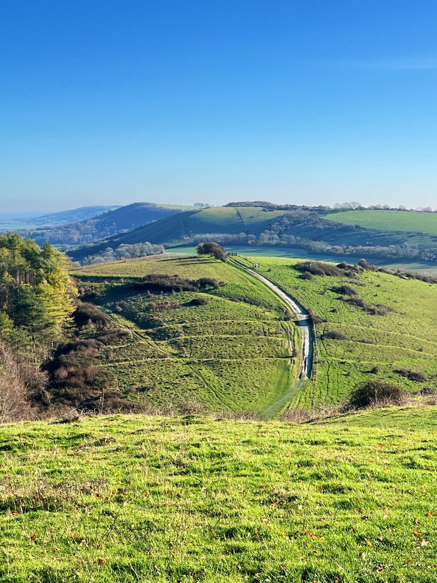 Back to reality after 122km of the South Downs Way, walking home to Brighton all the way from Winchester. What an experience! We had sun, rain, snow, frost, dramatic skies and gorgeous green views of rolling hills. I&rsquo;m resting up for a few hour
