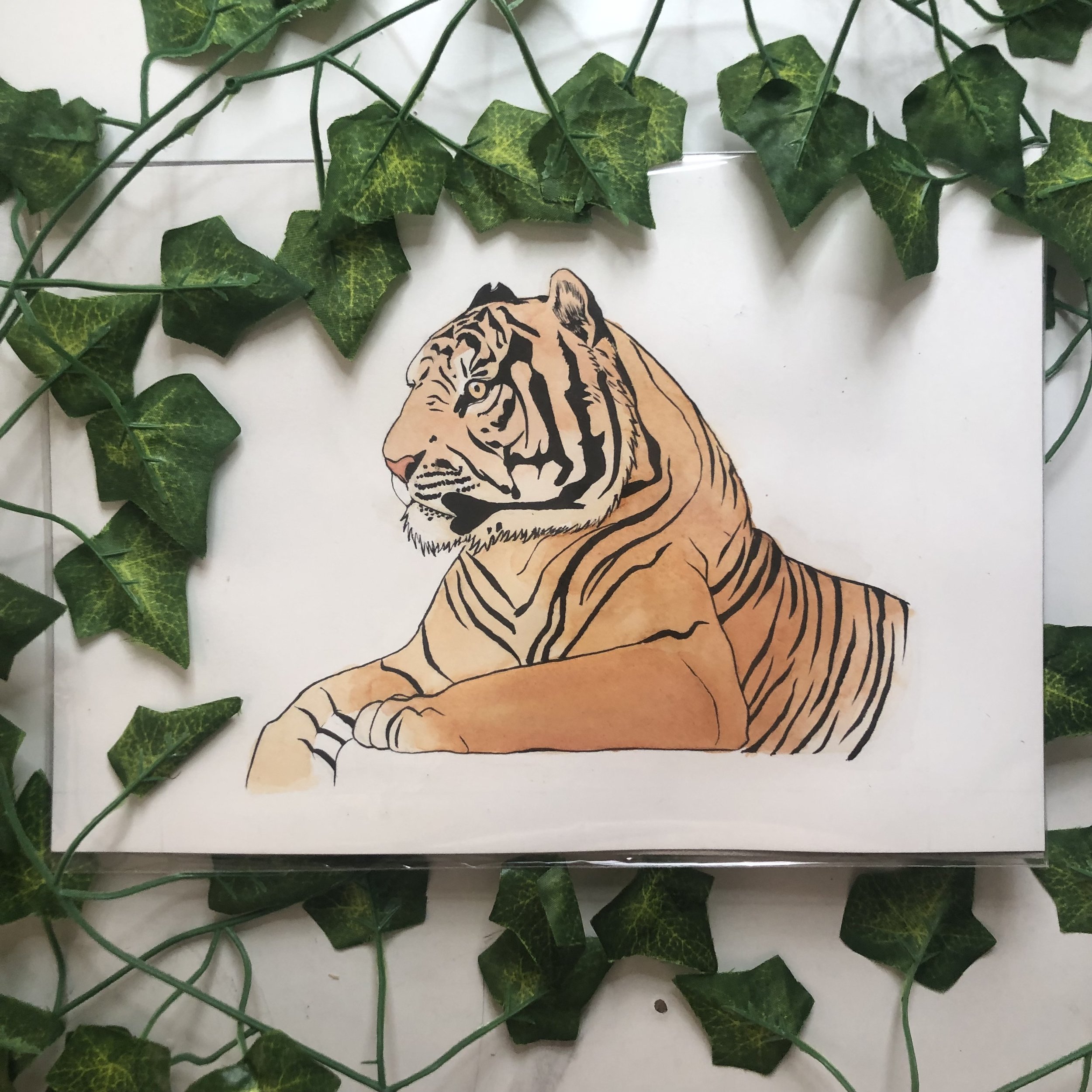Original Watercolour Tiger