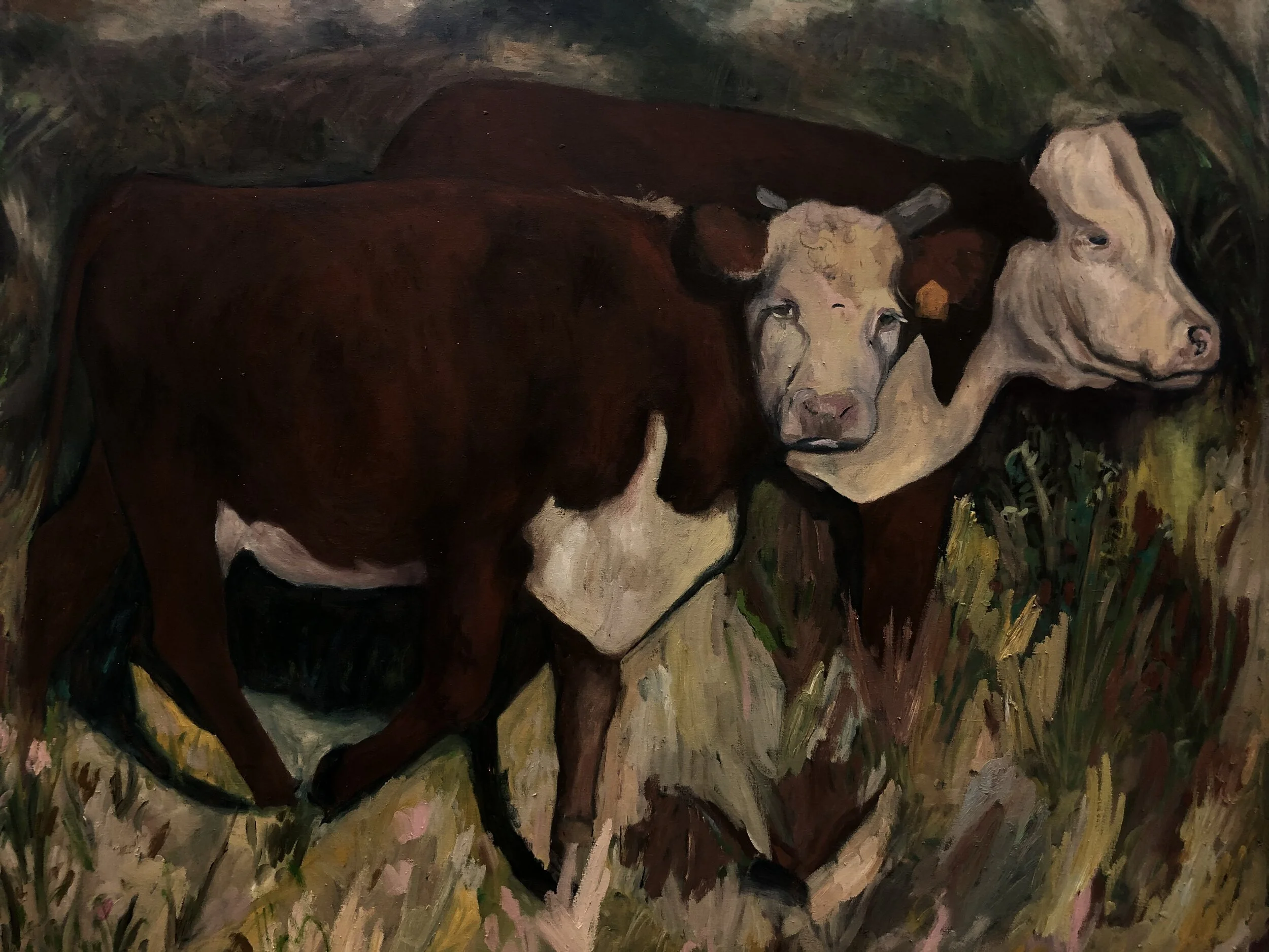 Vacas (Available)