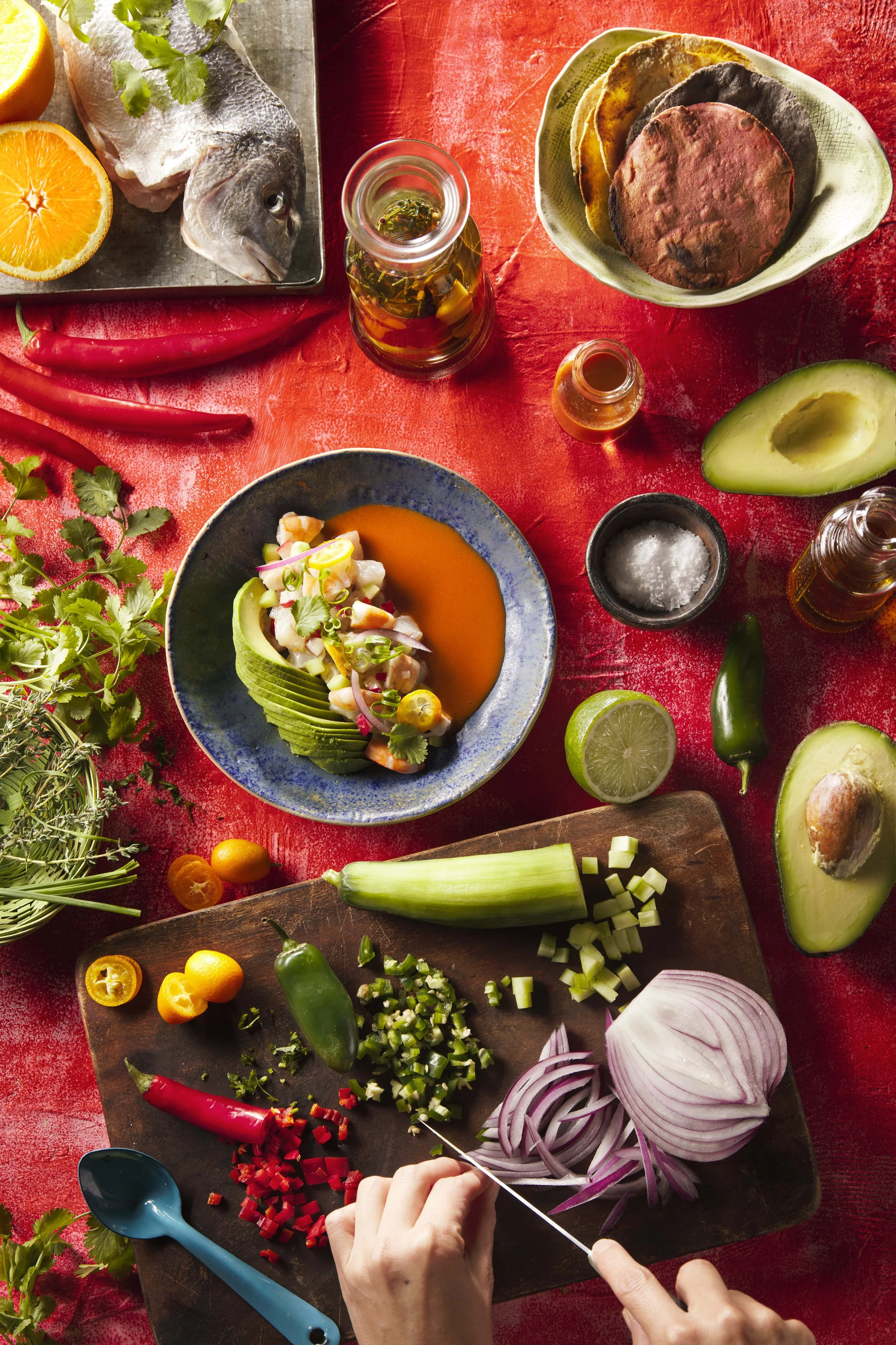 vuelve a la vida com mano.jpg