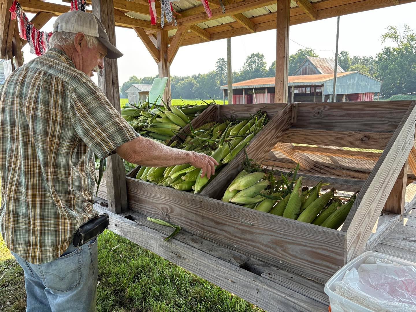 Silver King available at 22173 Sedley Road, Franklin. Self-serve, please put cash or check made out to Beth Cobb in mailbox on the wagon. $.50/ear, $6/dozen. Never sprayed so you might find some extra protein in the ears. It&rsquo;s a trade-off. 
It&
