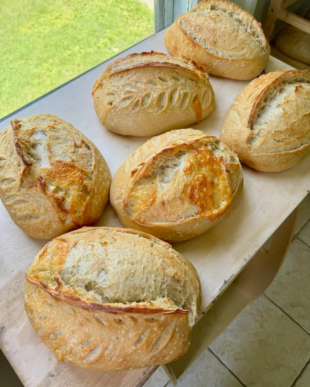 Bread and fish is what the GHF market has to offer this morning. But there are some great stories where that feeds multitudes. Come see Floyd and Dom this morning between 9-12 to feed your crowd.
