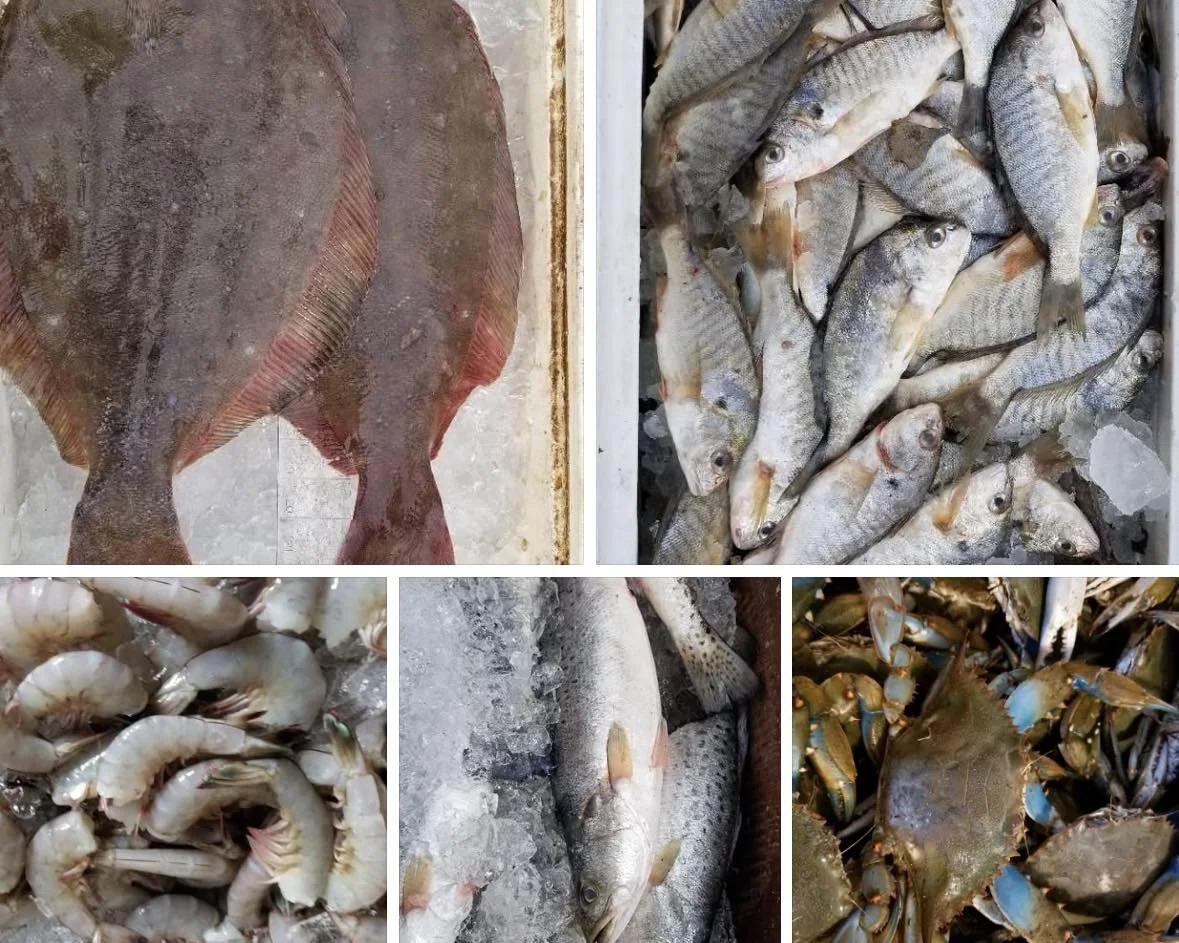 We&rsquo;ll see you tomorrow morning at the GHF market as you pick up your fresh seafood from Laydens Seafood and your hand painted cookies and other goodies from Connie Beale.  Sweet potatoes will also be available. 
* 22173 Sedley Road
* 9am - noon