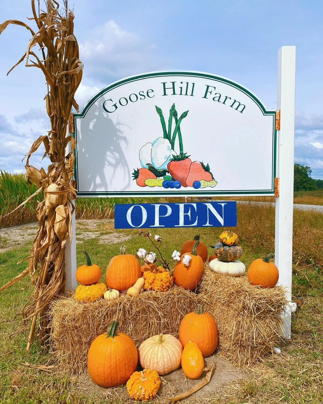 Yes, we are open today from 9-6 pm and then our haunted corn maze will be open from 7-9 pm this evening. It&rsquo;s an absolutely gorgeous day to pick a pumpkin and get list in the maze!
*22090  Bethel Road
*Saturday 9-6 maze is $5/ person, 3 and und