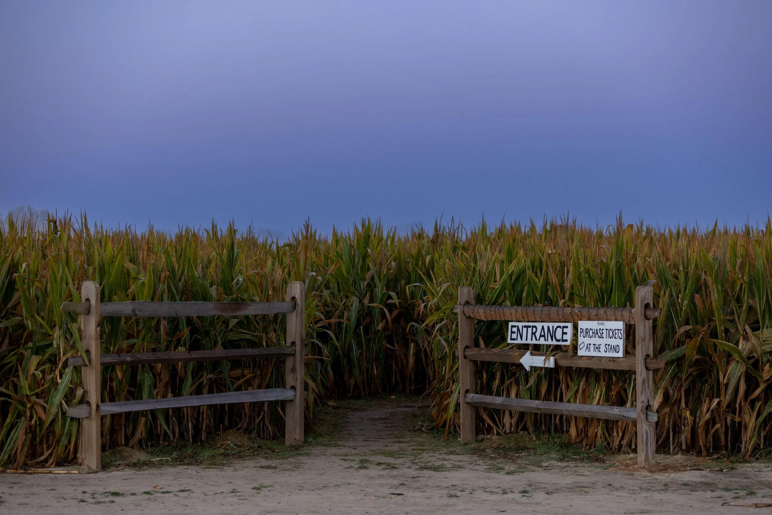 Night Maze Opens