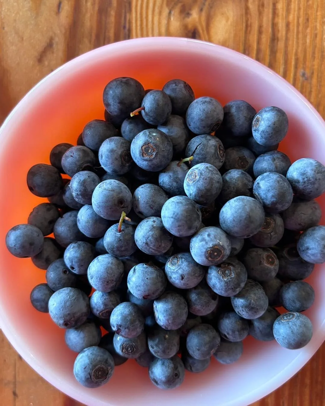 These late berries are so sweet and flavorful and you can easily pick enough for a pie or scones or  a salad. The patch will be open again this week to give you one last chance to pick a few. I bet your neighbor would love some too!
$6/quart, contain