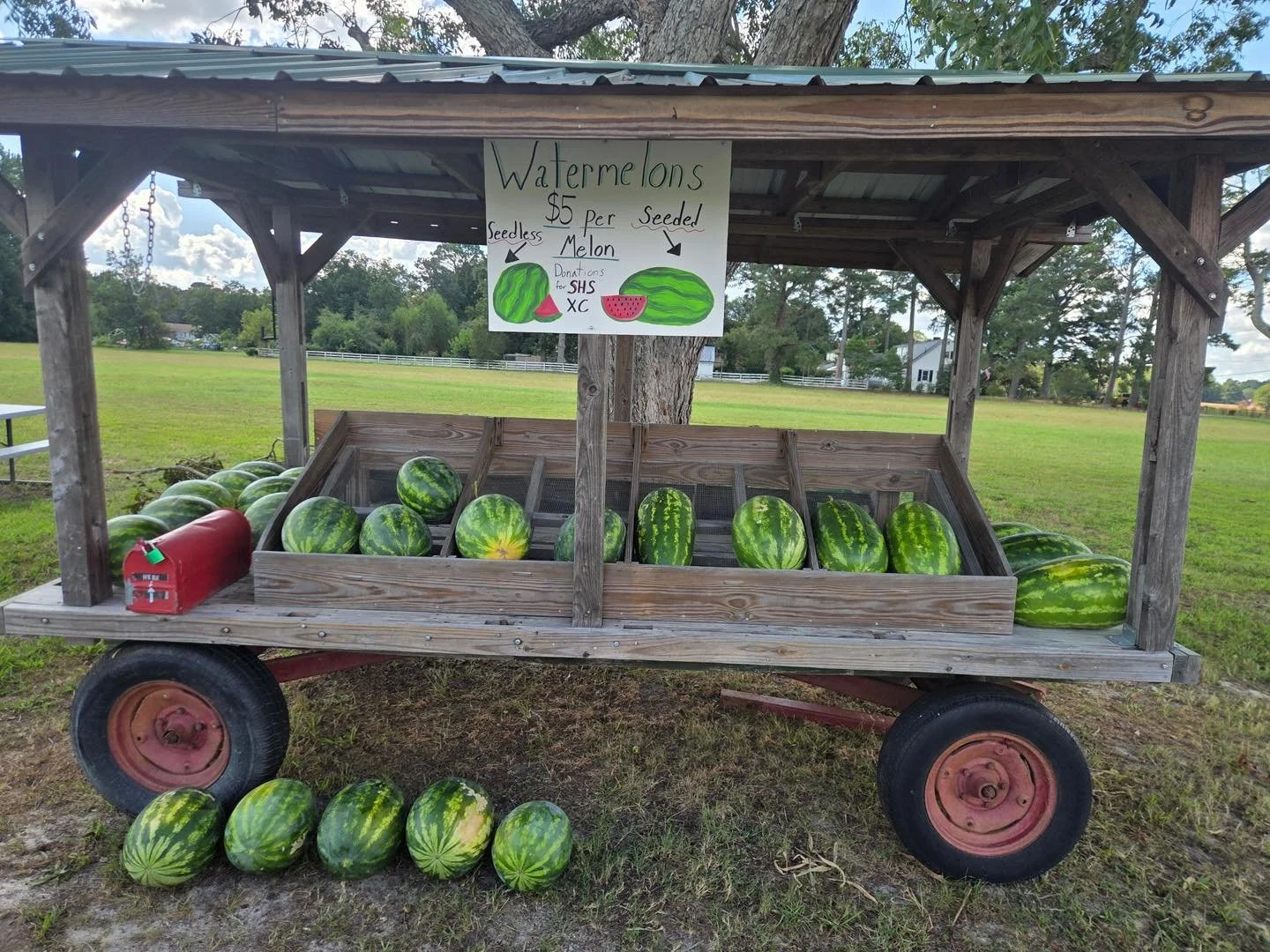 The Southampton County cross country team is providing watermelons for a $5 donation to their team.  Both seeded and seedless are available at the GHF farm wagon at 22173 Sedley Road, Franklin.