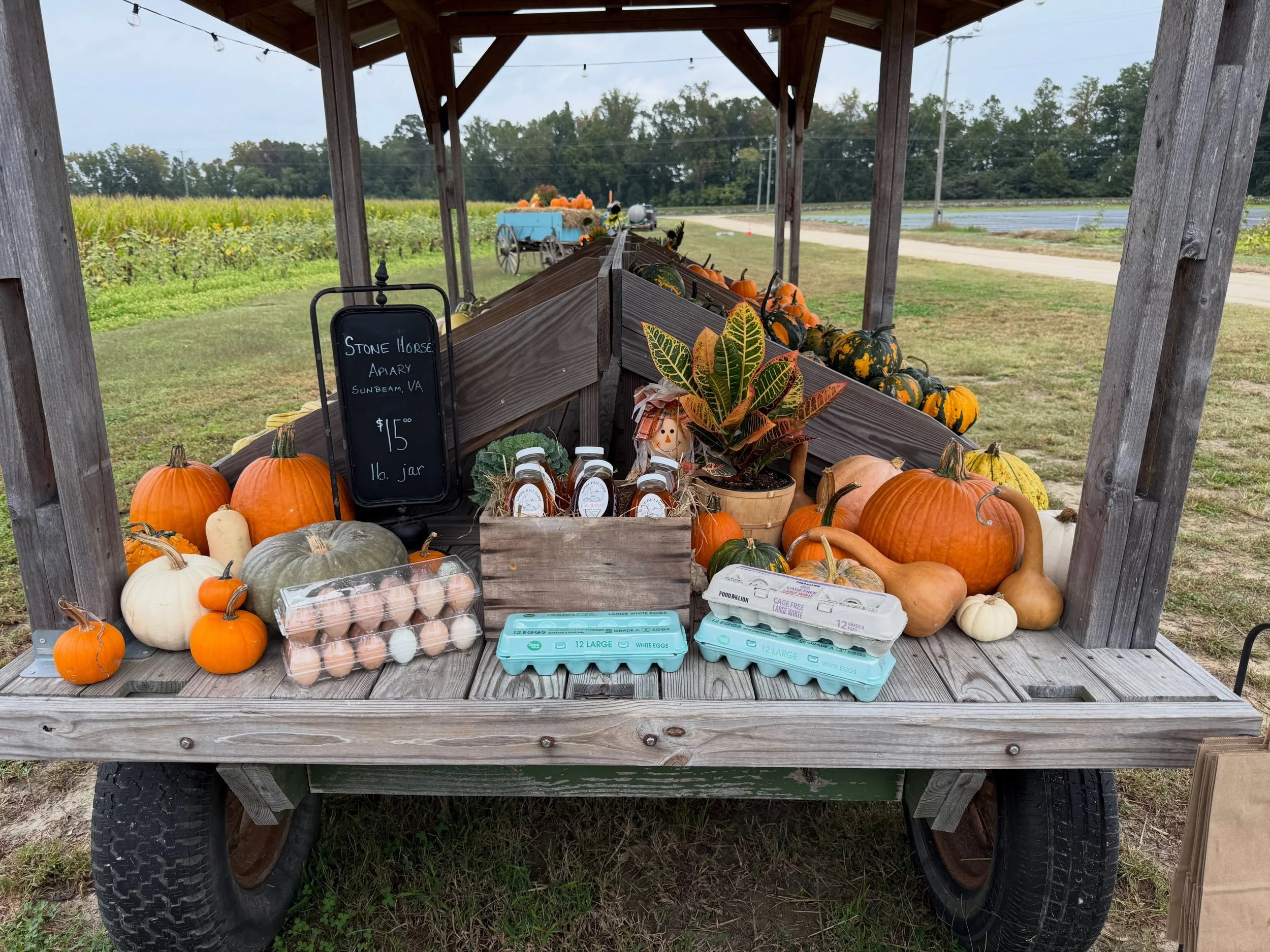 It&rsquo;s not the prettiest of days but the Goose Hill Farm Pumpkin Patch and Corn Maze is still open today 9am-6pm. So come on out and pick up some fall color to brighten up this dreary day!