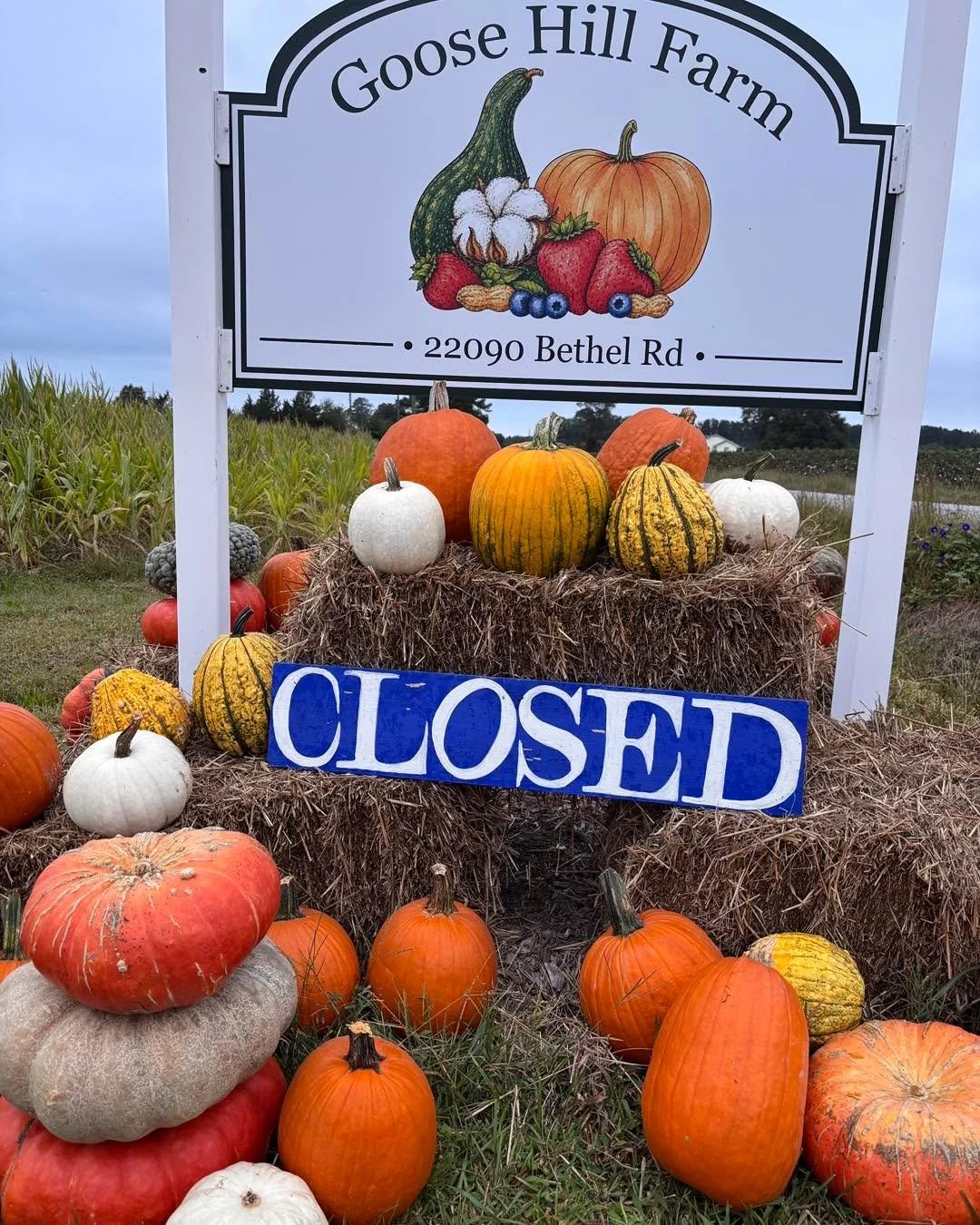 Drizzly, overcast skies with rain predicted for late afternoon leads us to close the pumpkin patch this afternoon. We will reopen Friday, October 16 at 3 pm.