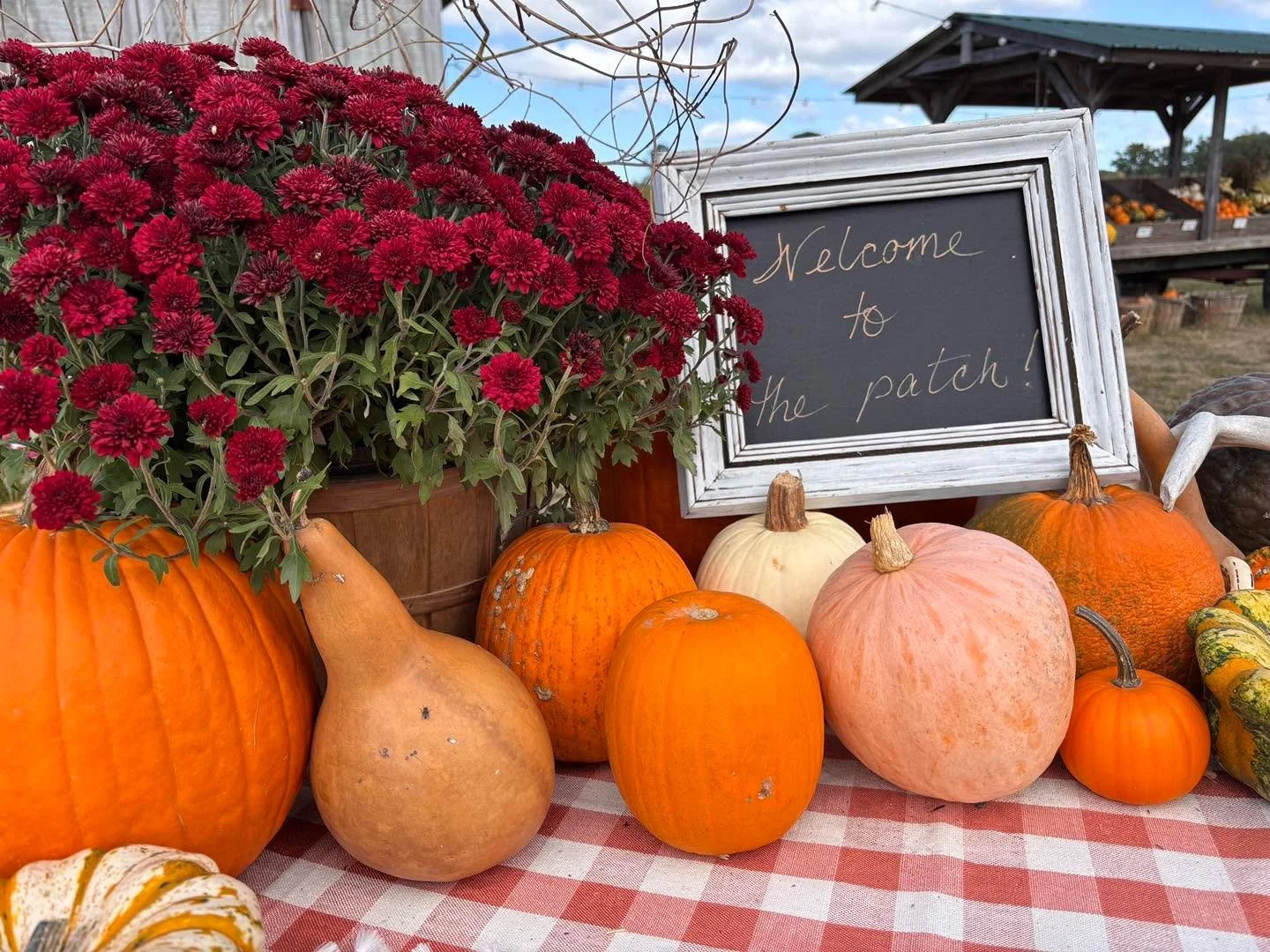 Come get your fix of fresh air, test your navigational skills and pick a fresh pumpkin today at GHF from 1-5 pm today. 
&bull;&bull; maze is $5 kids 3 and under free
&bull;&bull; cash or checks only please
&bull;&bull; 22090 Bethel Road, Franklin , V
