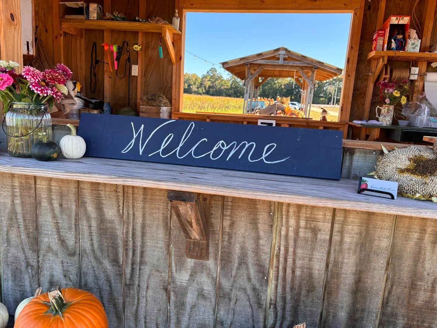 We&rsquo;ll see you at the pumpkin patch this weekend! 
***Friday 3-6, Saturday 9-6, Sunday 1-5
****HAUNTED CORN MAZE SATURDAY NIGHT 7-9  pm **** $10 admission fee*****
** Cash or check only please
** 22090 Bethel Road, Franklin, Va  #bethelight