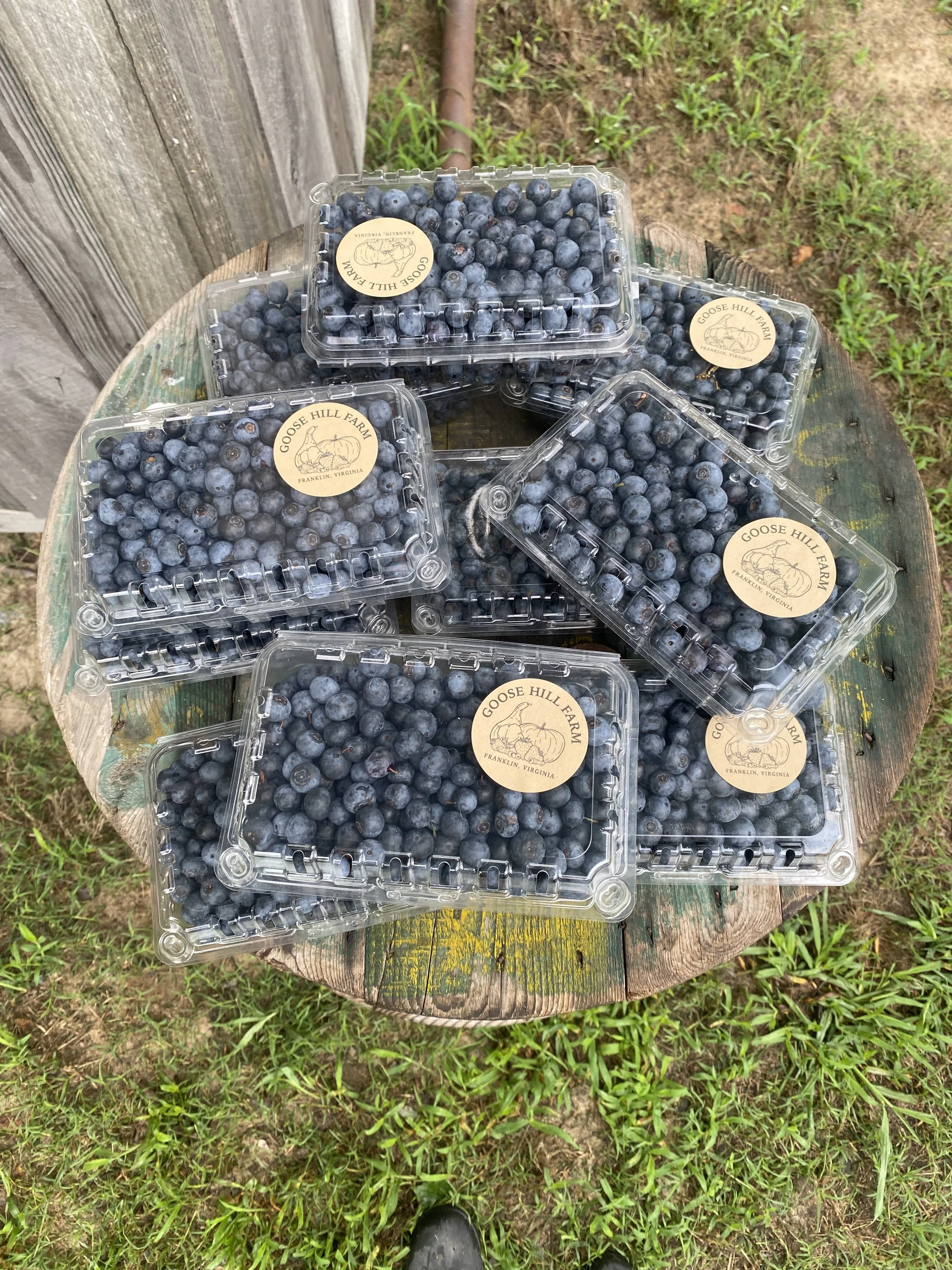 Multiple containers of fresh blueberries on a weathered wooden round table outdoors, with greenery and grass in the background.