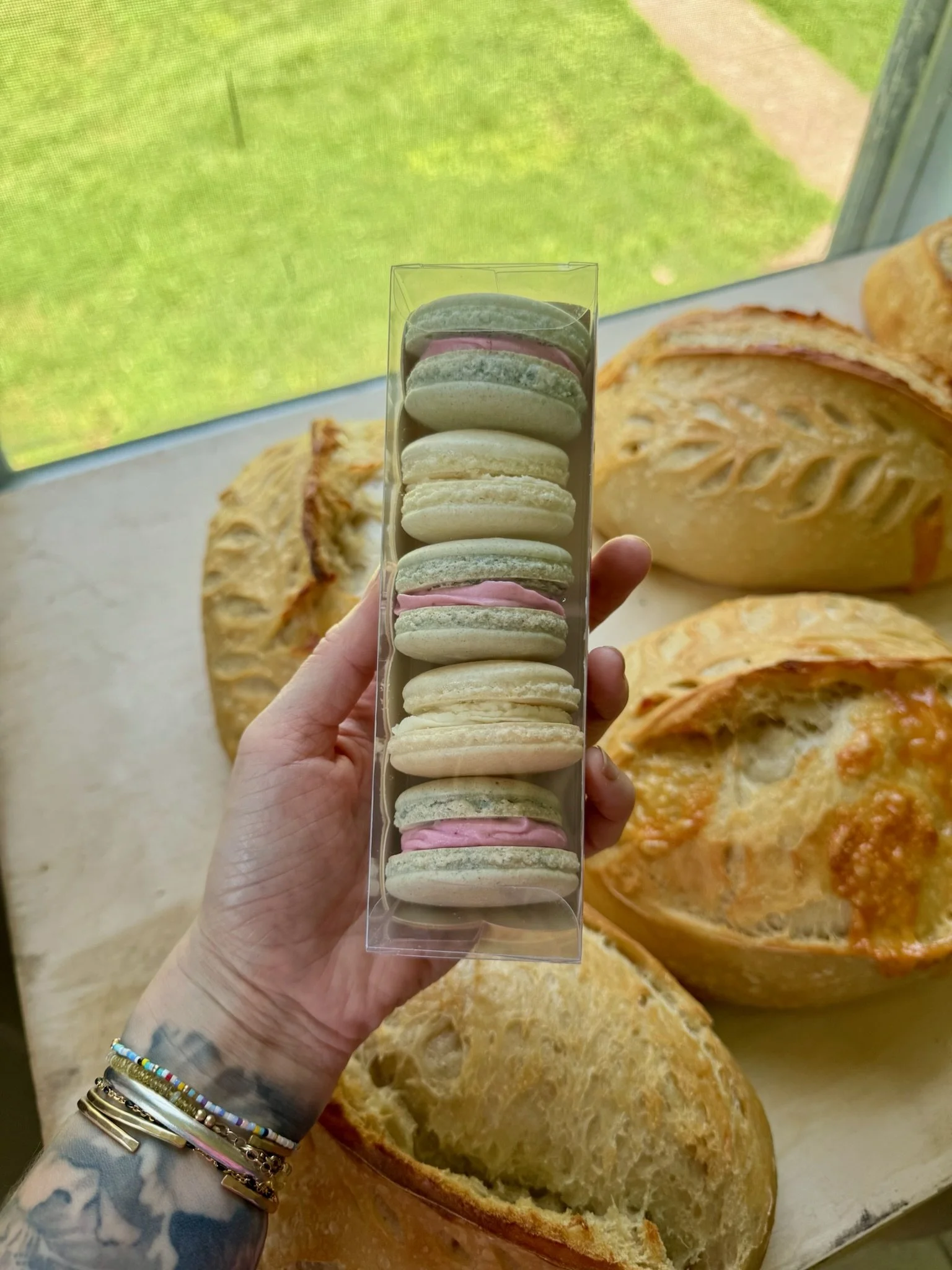 A hand holding a clear container with colorful macarons, with bread and pastries in the background on a baking sheet near a window outside showing green grass.