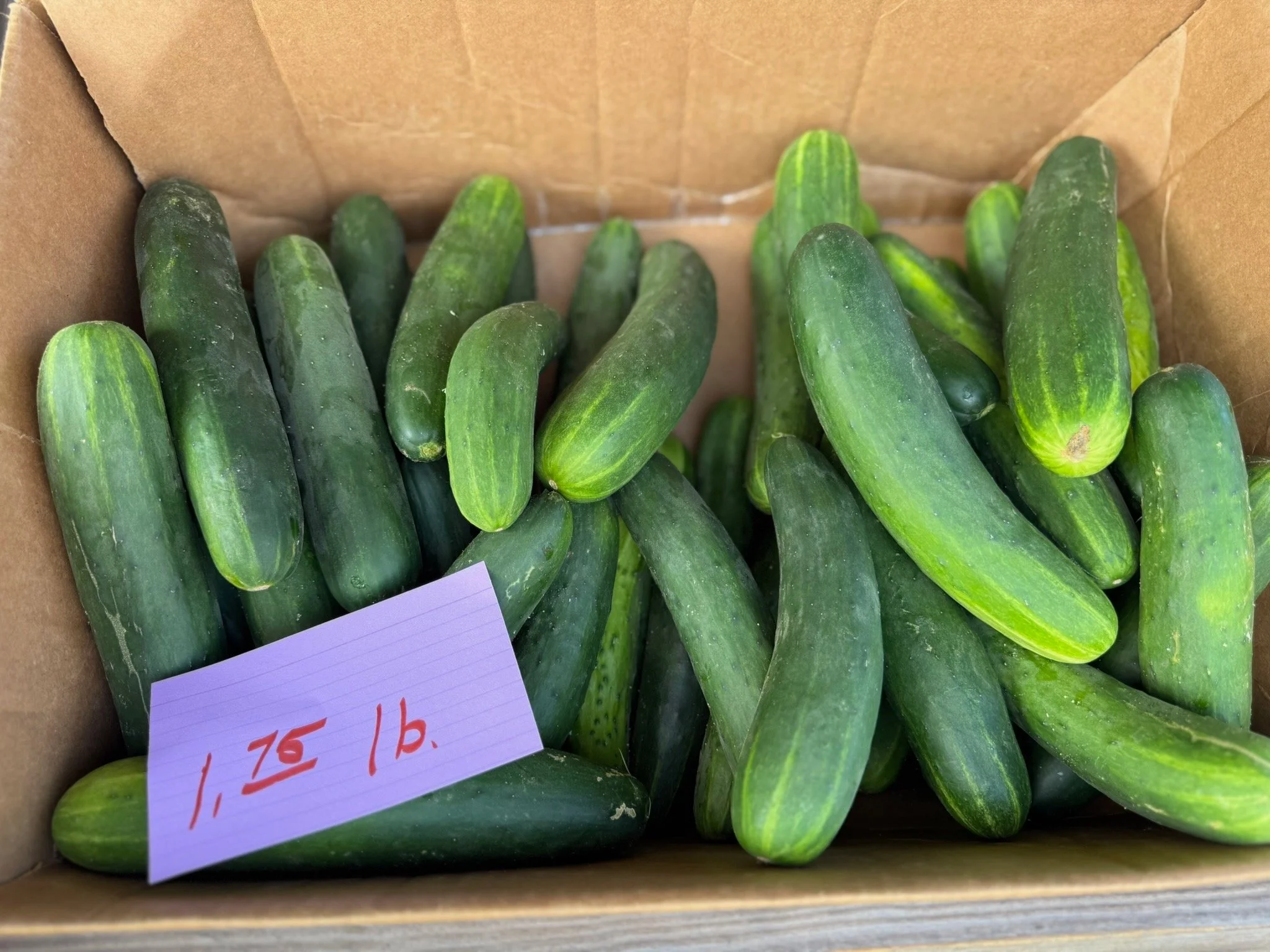 Green cucumbers inside a cardboard box with a handwritten price tag showing $1.50 per pound.