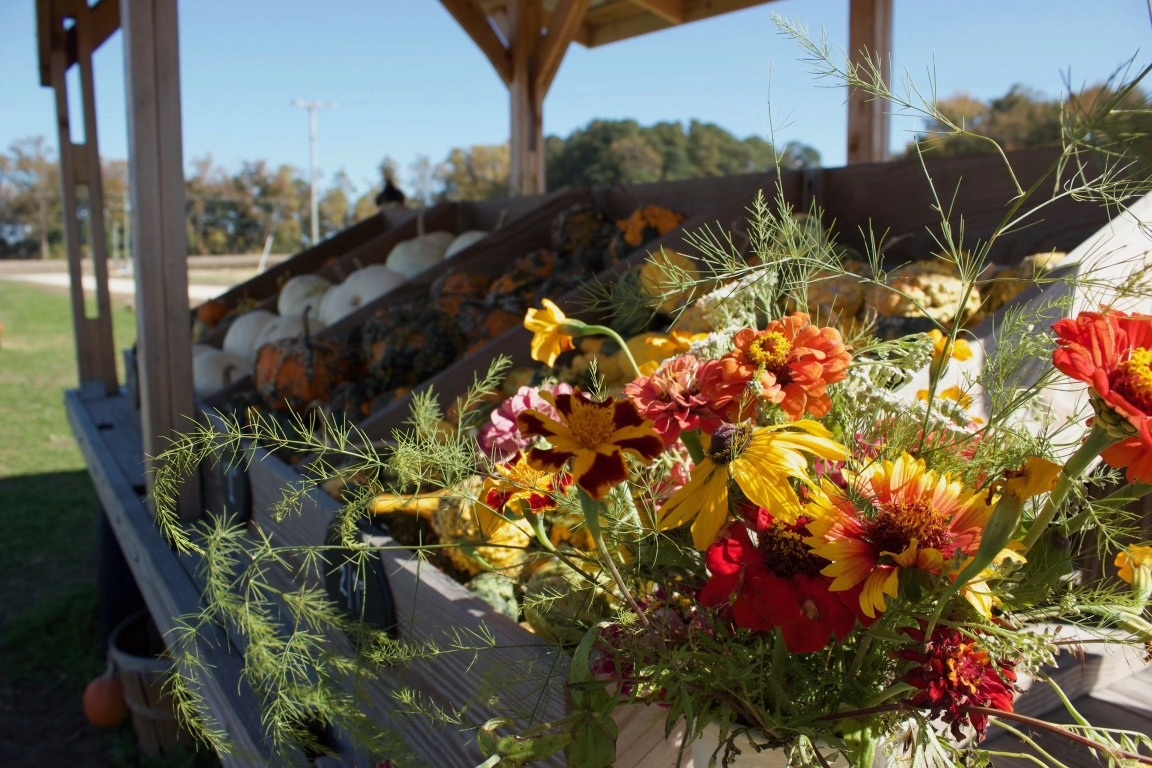 A display of assorted pumpkins and gourds under a wooden shelter, with colorful flowers and green foliage in the foreground.