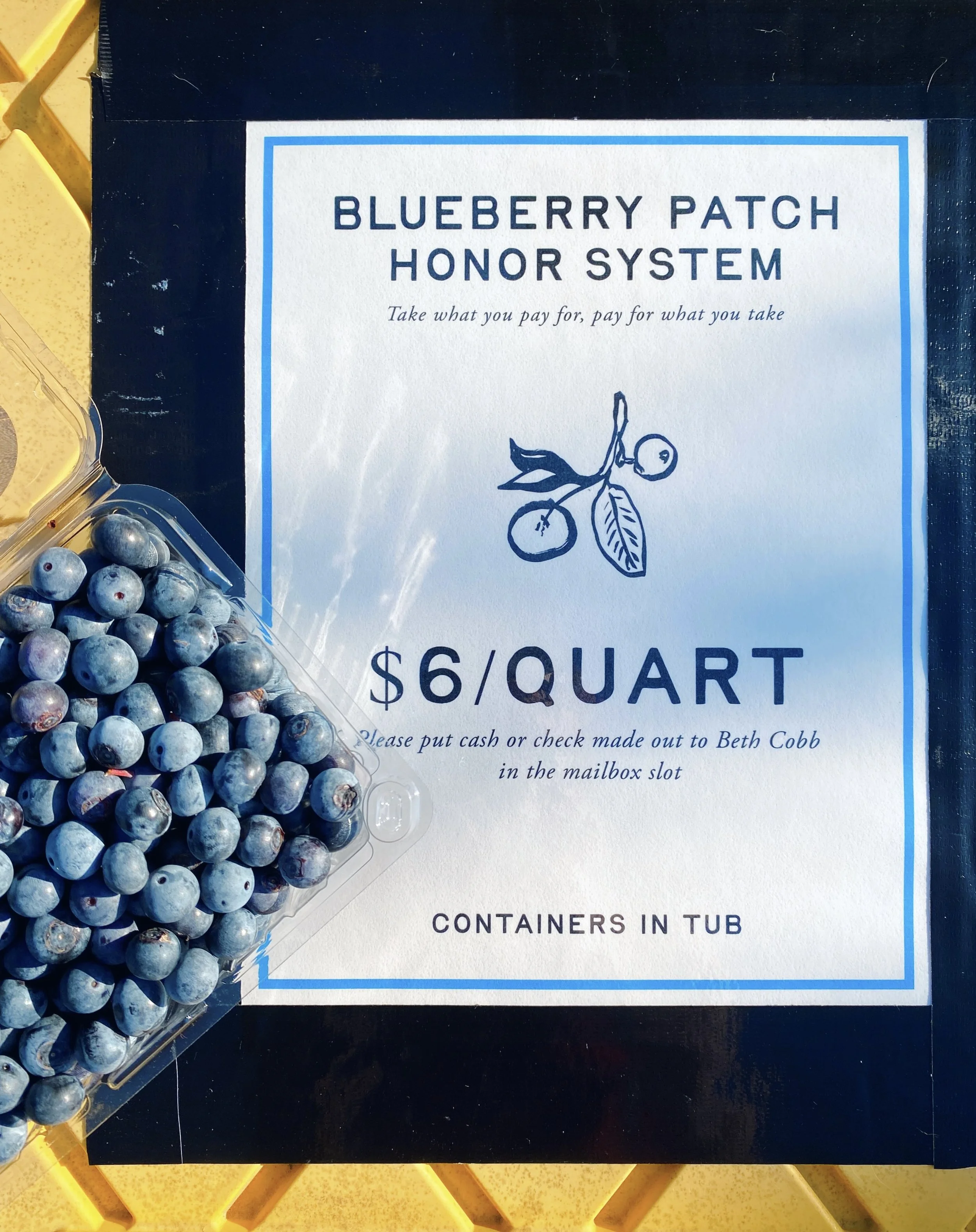 A container of fresh blueberries beside a sign for Blueberry Patch Honor System with a price of $6 per quart, on a yellow textured surface.