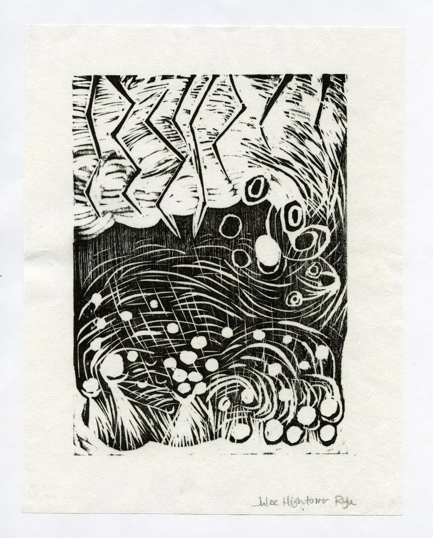 518260814_1033771208904816_7467932019184206759_n copy.jpg