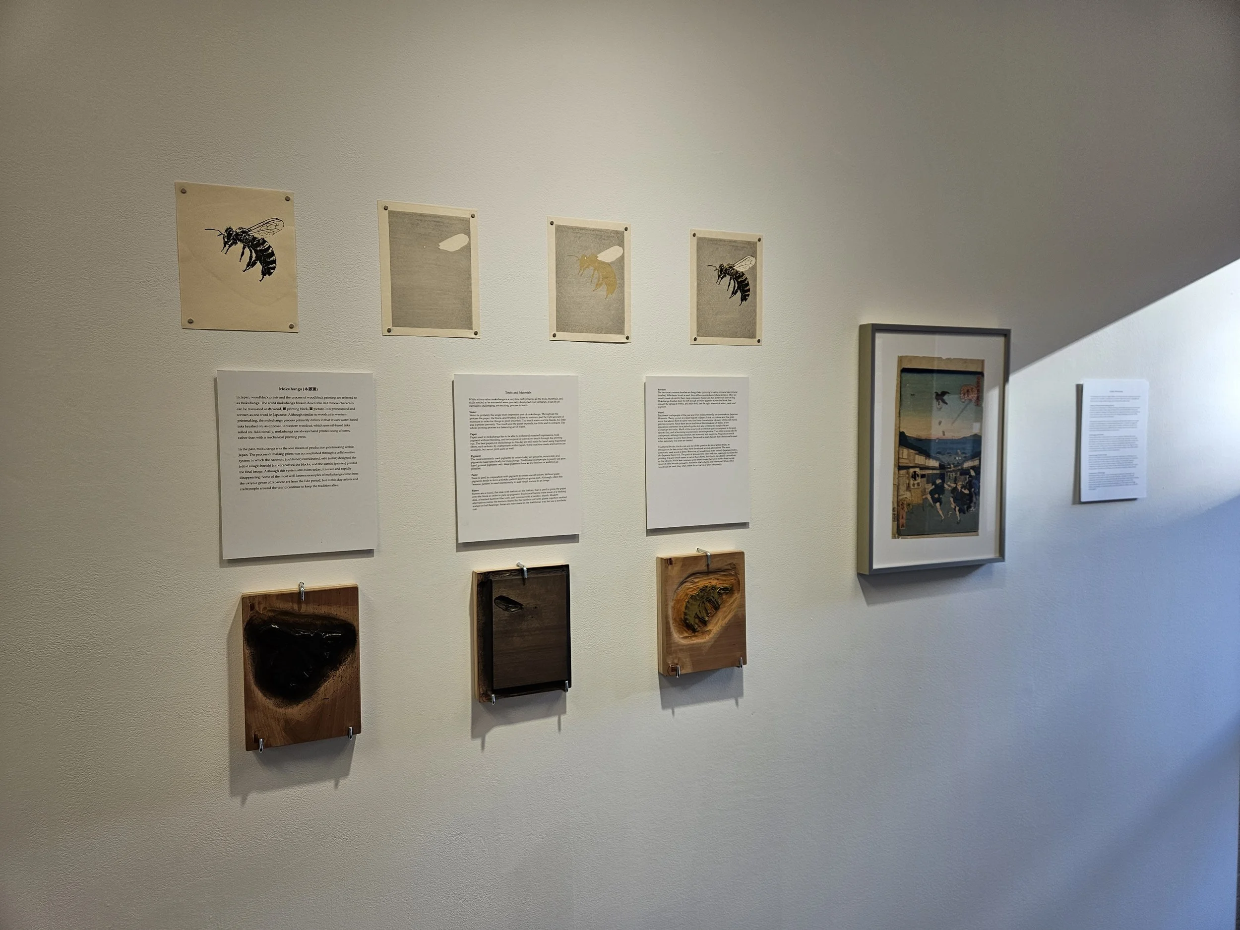 Copy of Copy of 20230915_082934.jpg