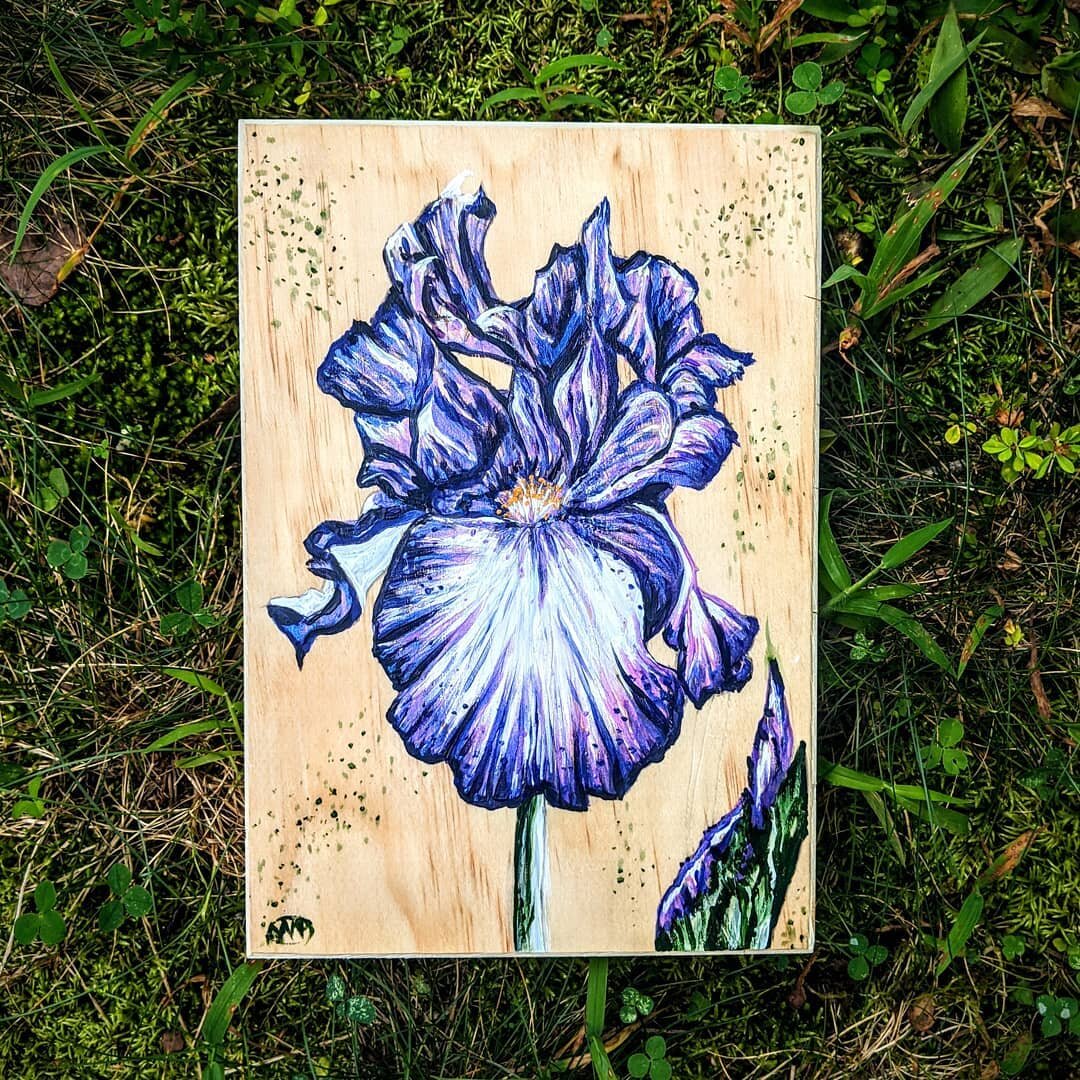 I'm ready for spring and my yard is too! There are little shoots of flowery things poking out of the ground. Head over to my channel and see a time-lapse of the creation of this Iris painting. Floral paintings are also now available to order on my we