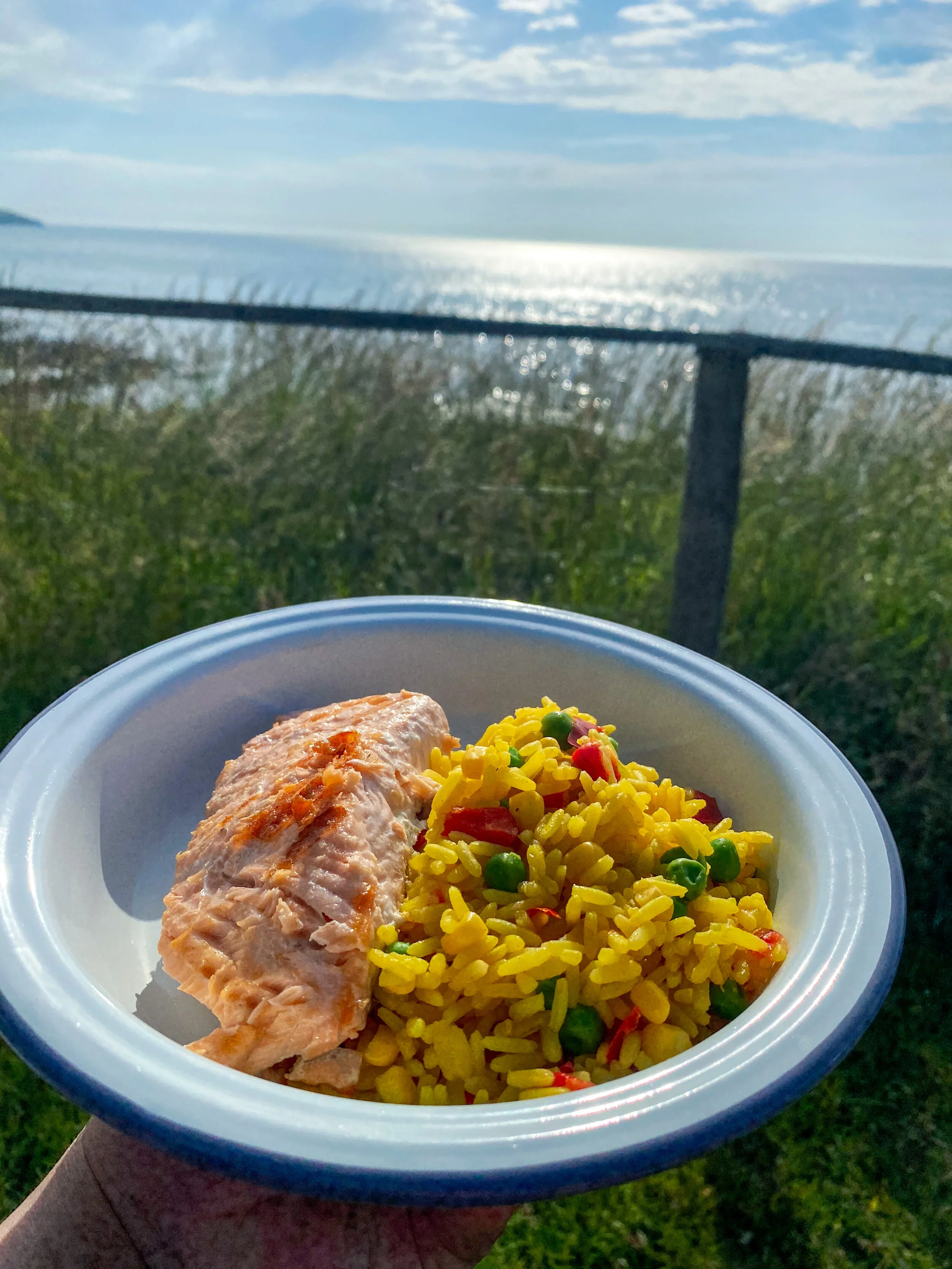 Salmon and Golden Vegetable Rice 