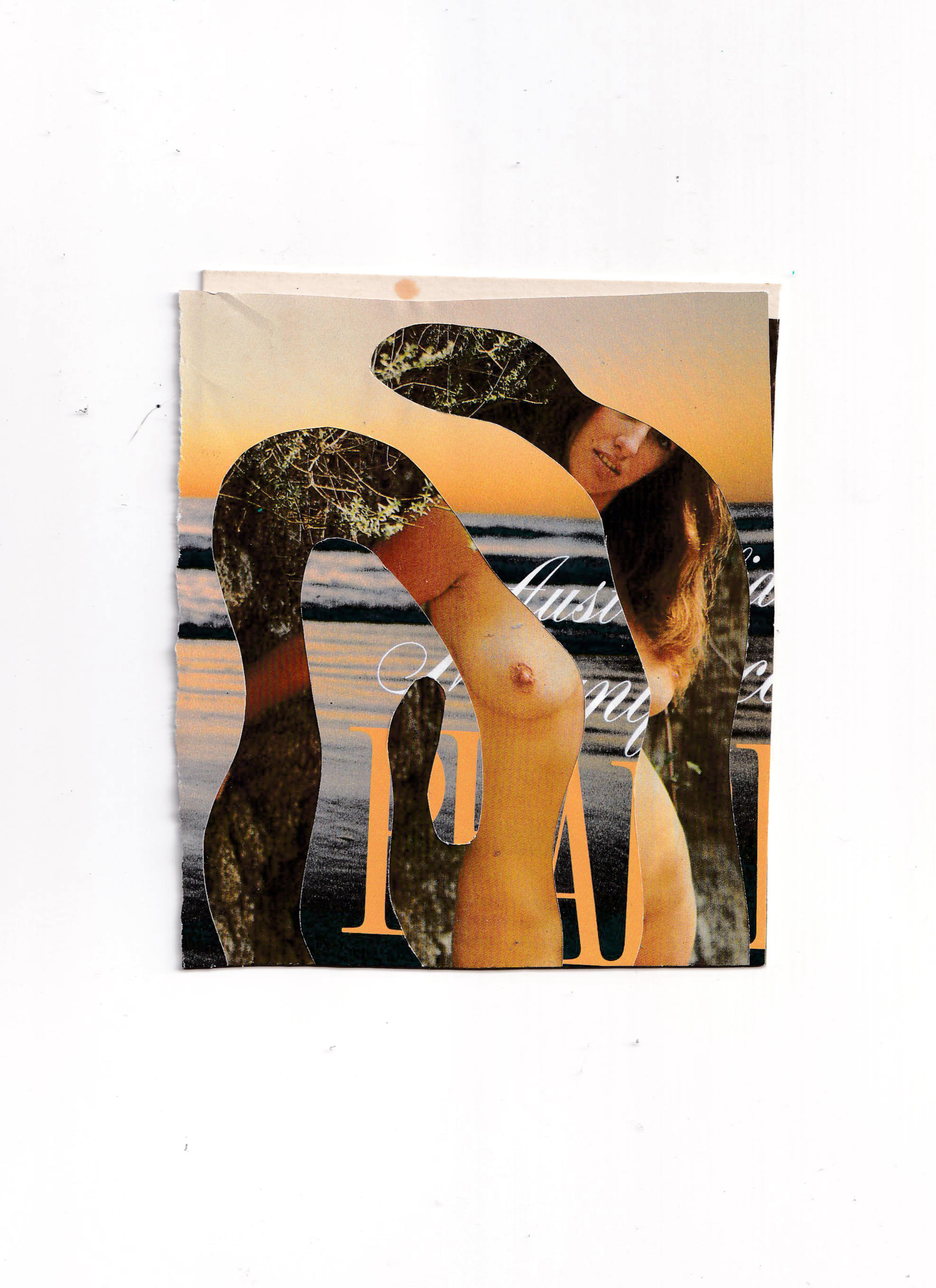 IMG_20251215_0002.png