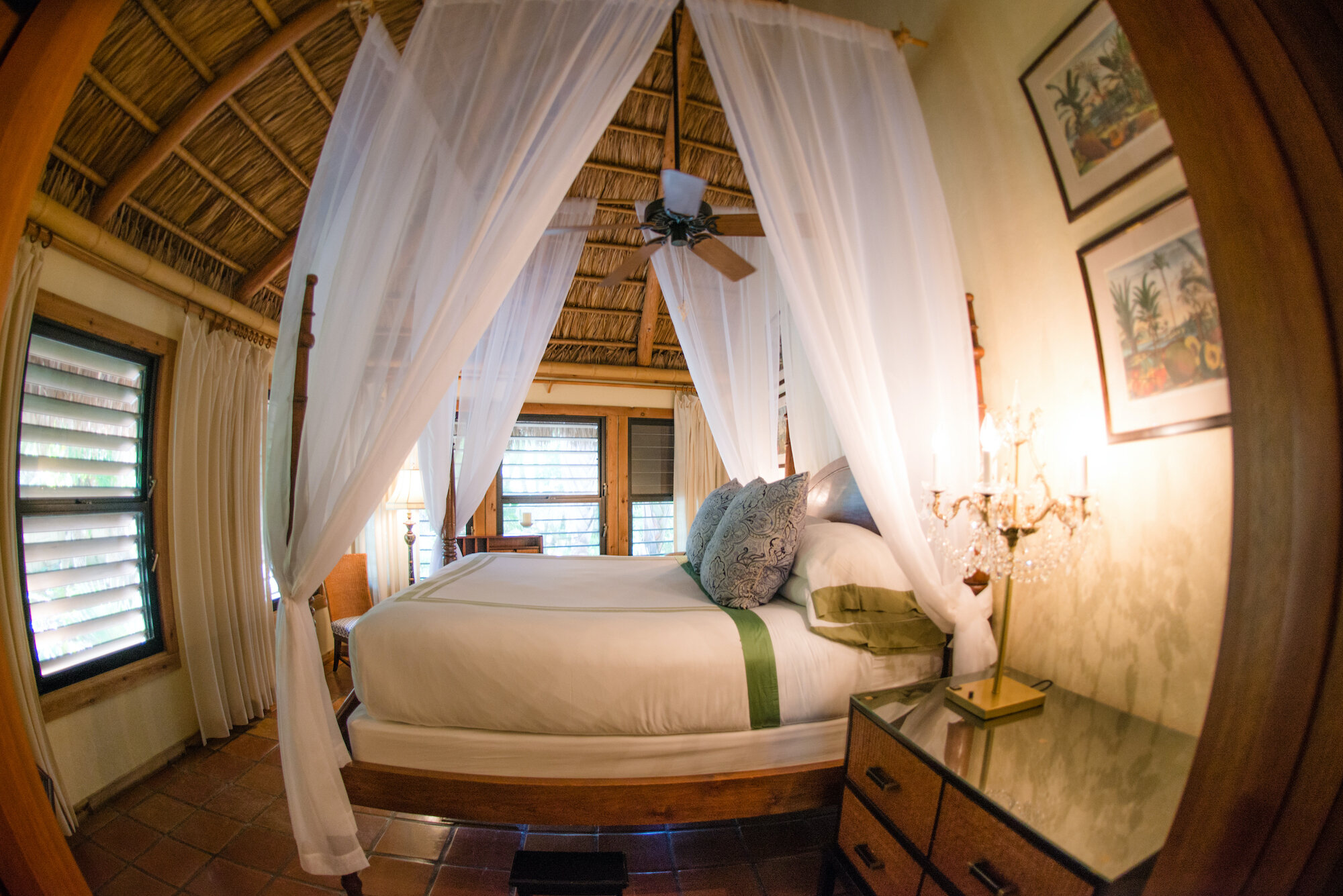 racheleligonlittlepalm-4.jpg