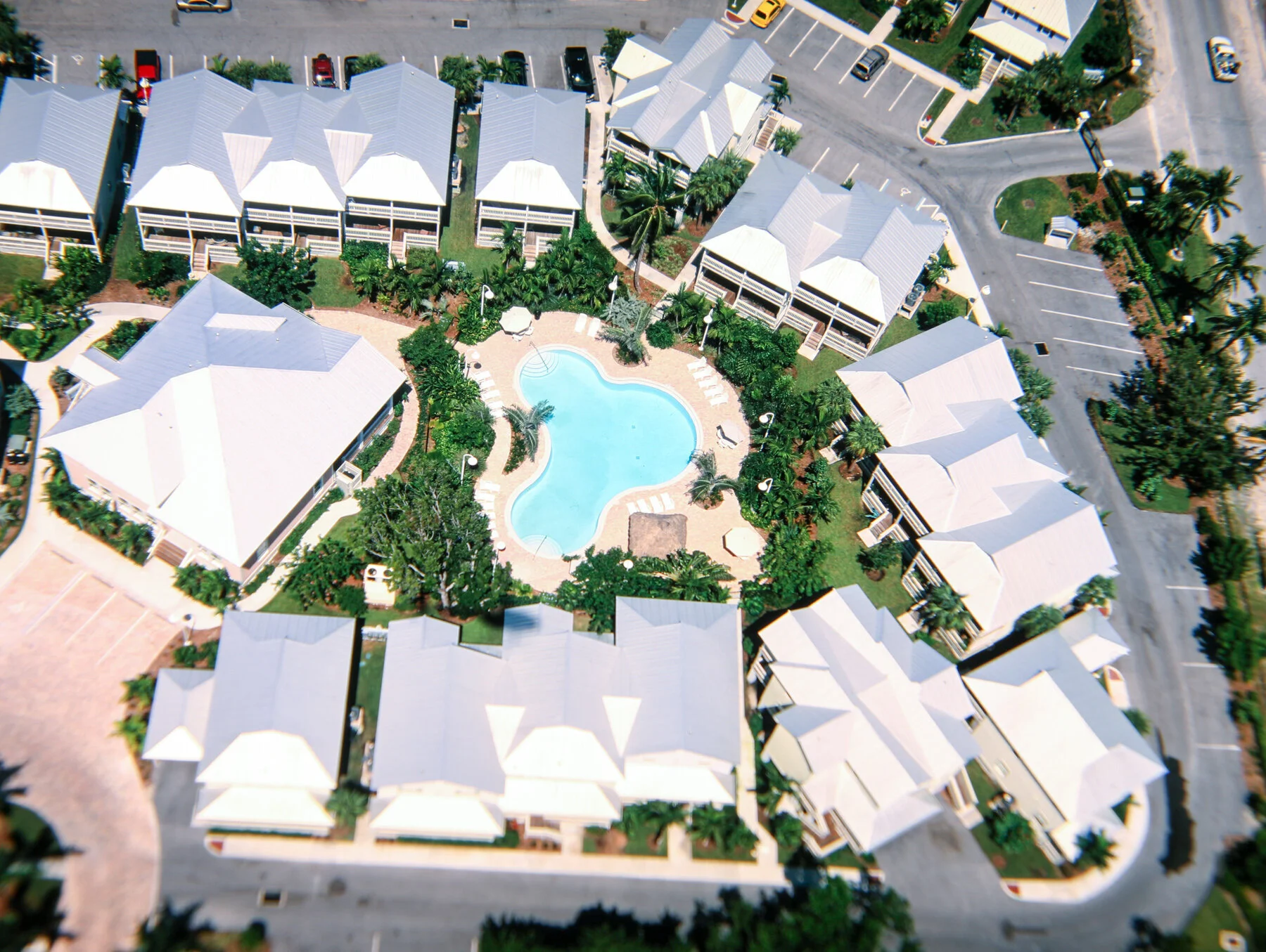 Coral Hammock