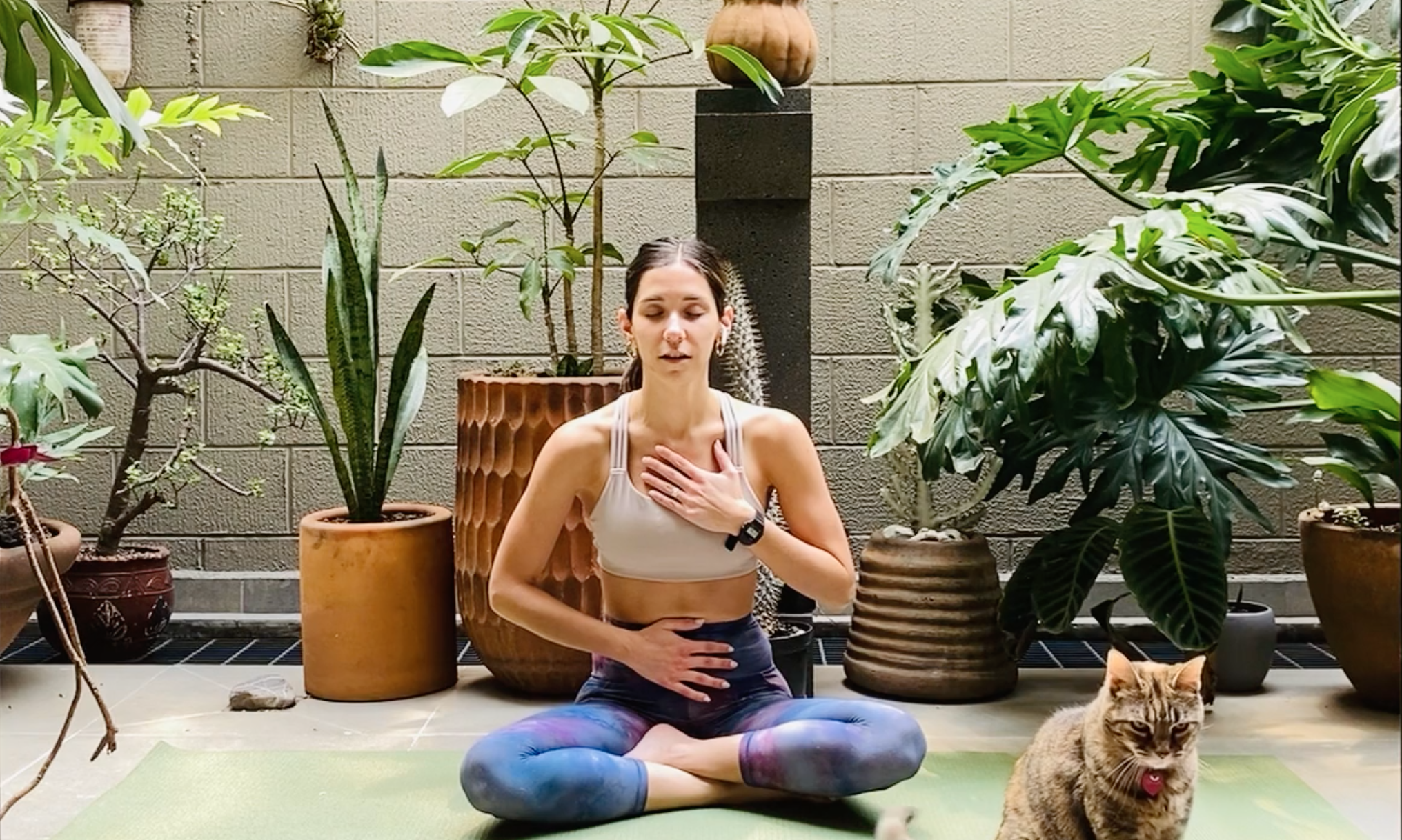 Friday Flow - 35 Minute Full Body Stretch