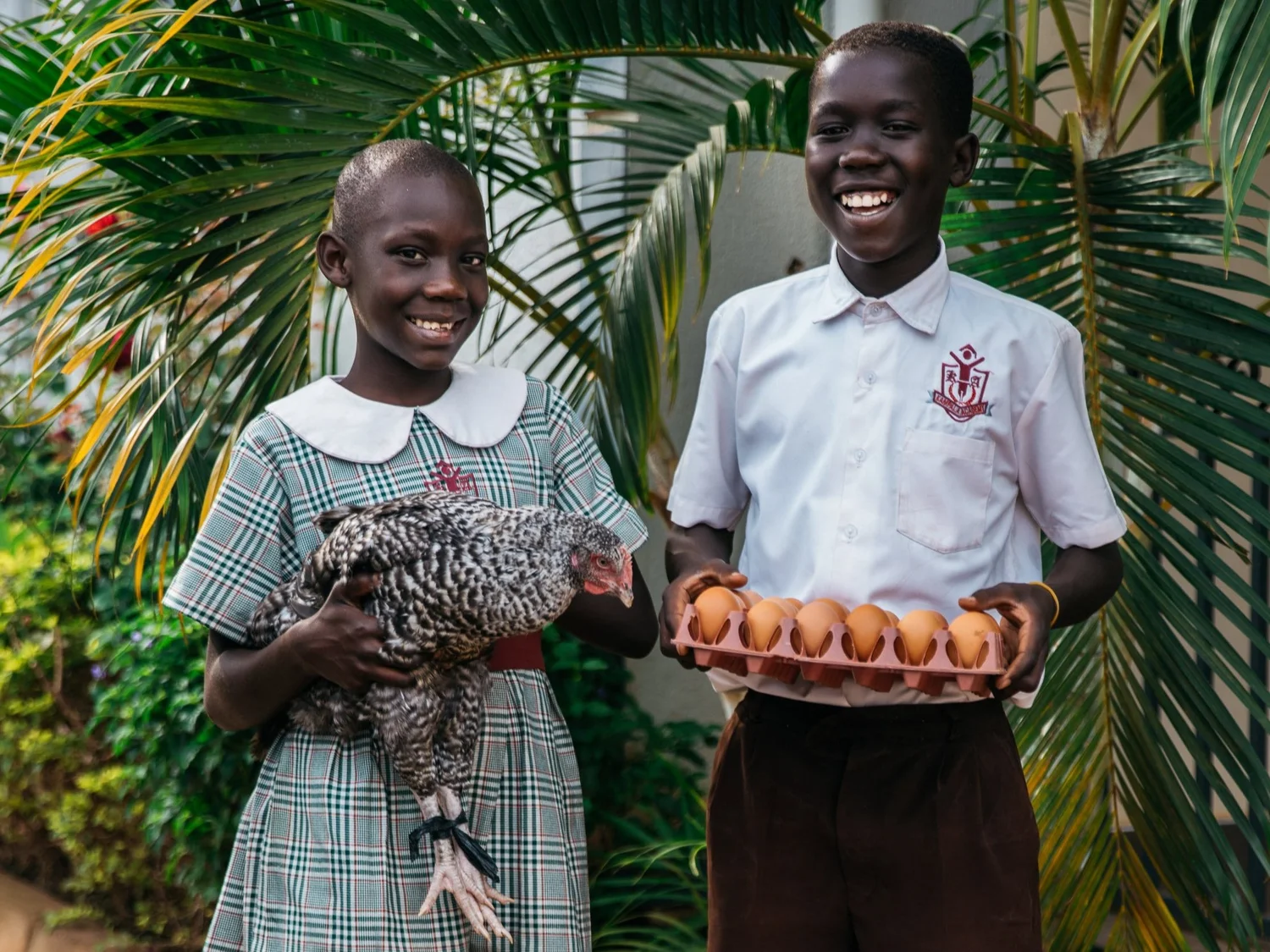 Project Orphans
