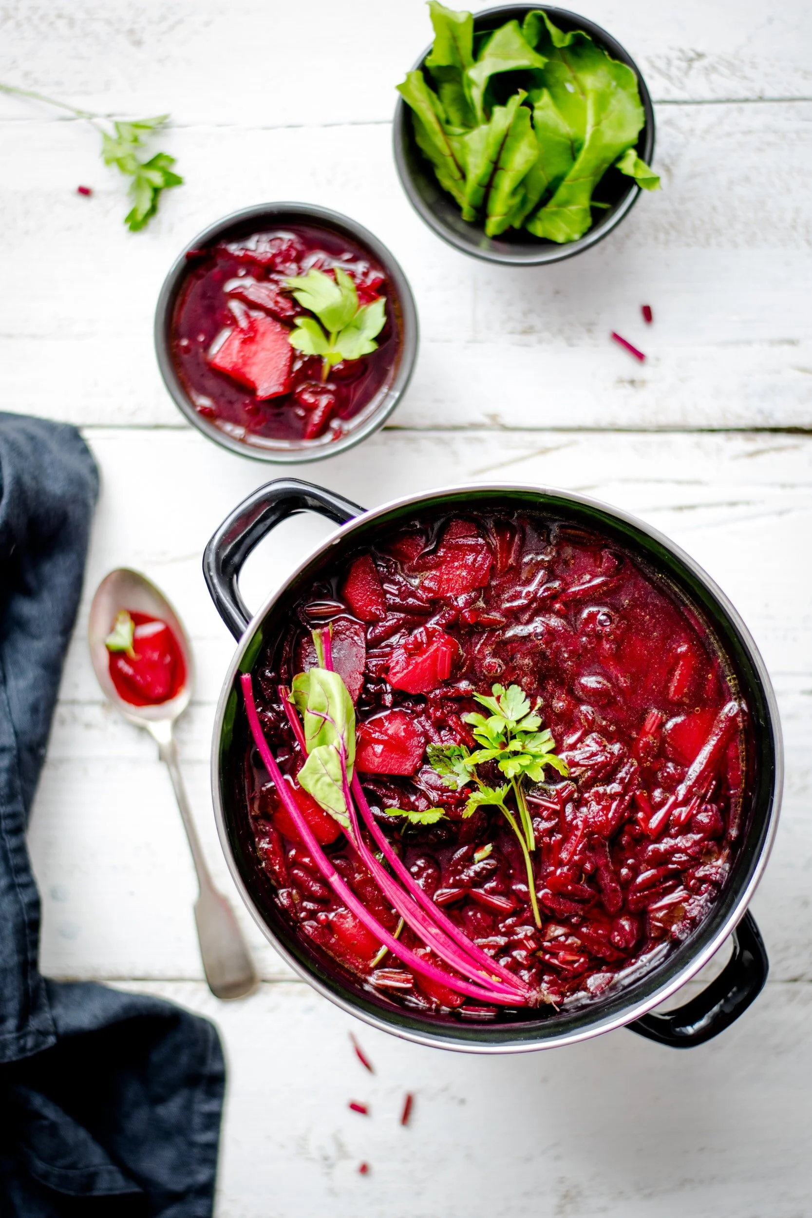 Russian Borsch Soup 