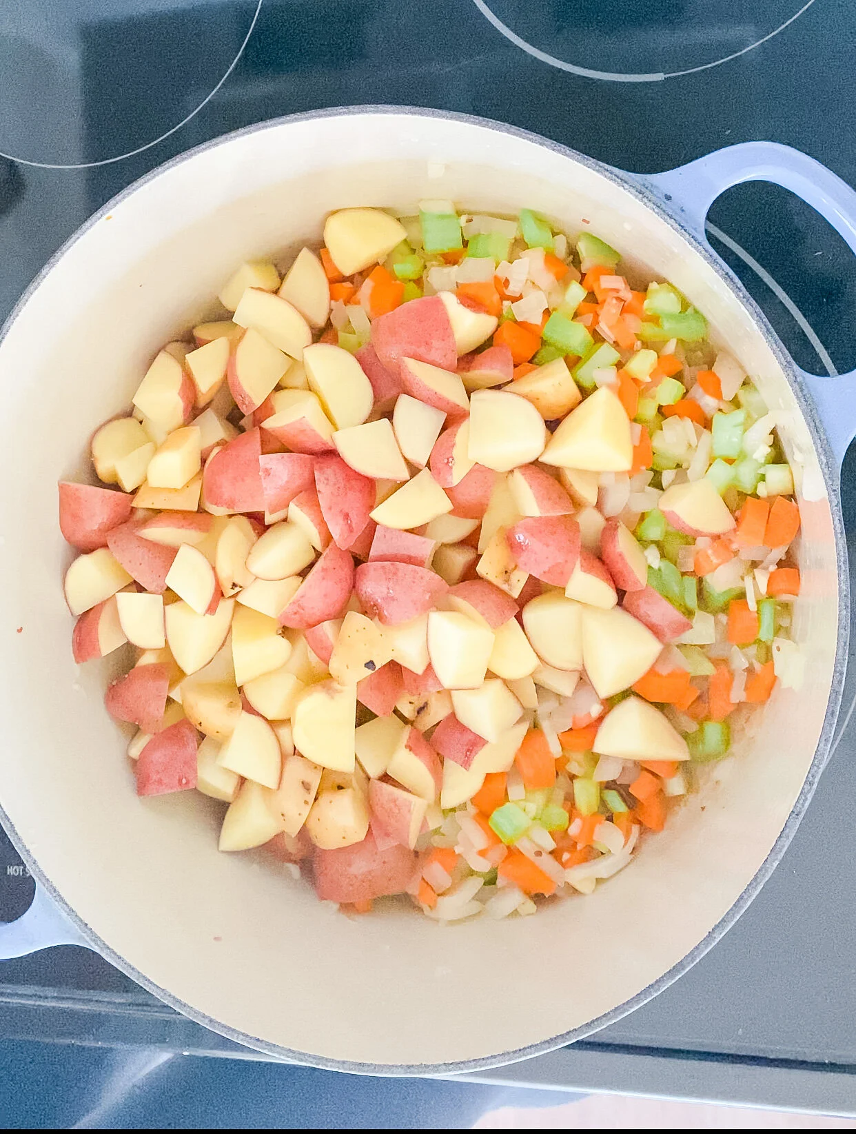 Raw veggies in pot.JPG