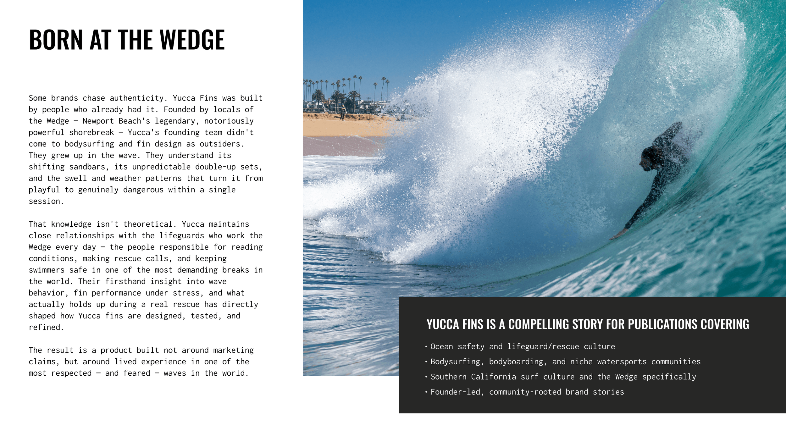 Yucca - Studio Massenzio - 15 BORN AT THE WEDGE.png